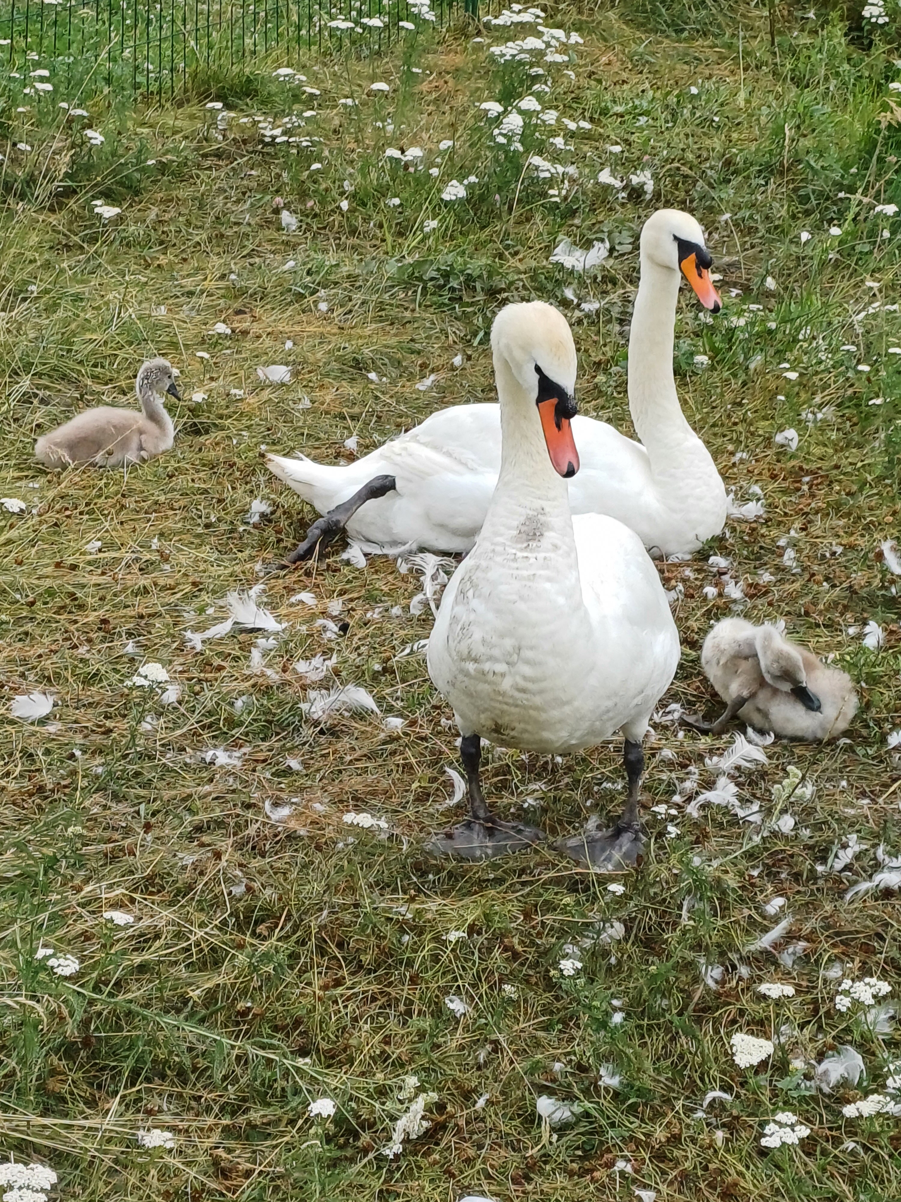 Фото Санаторий Бакирово
