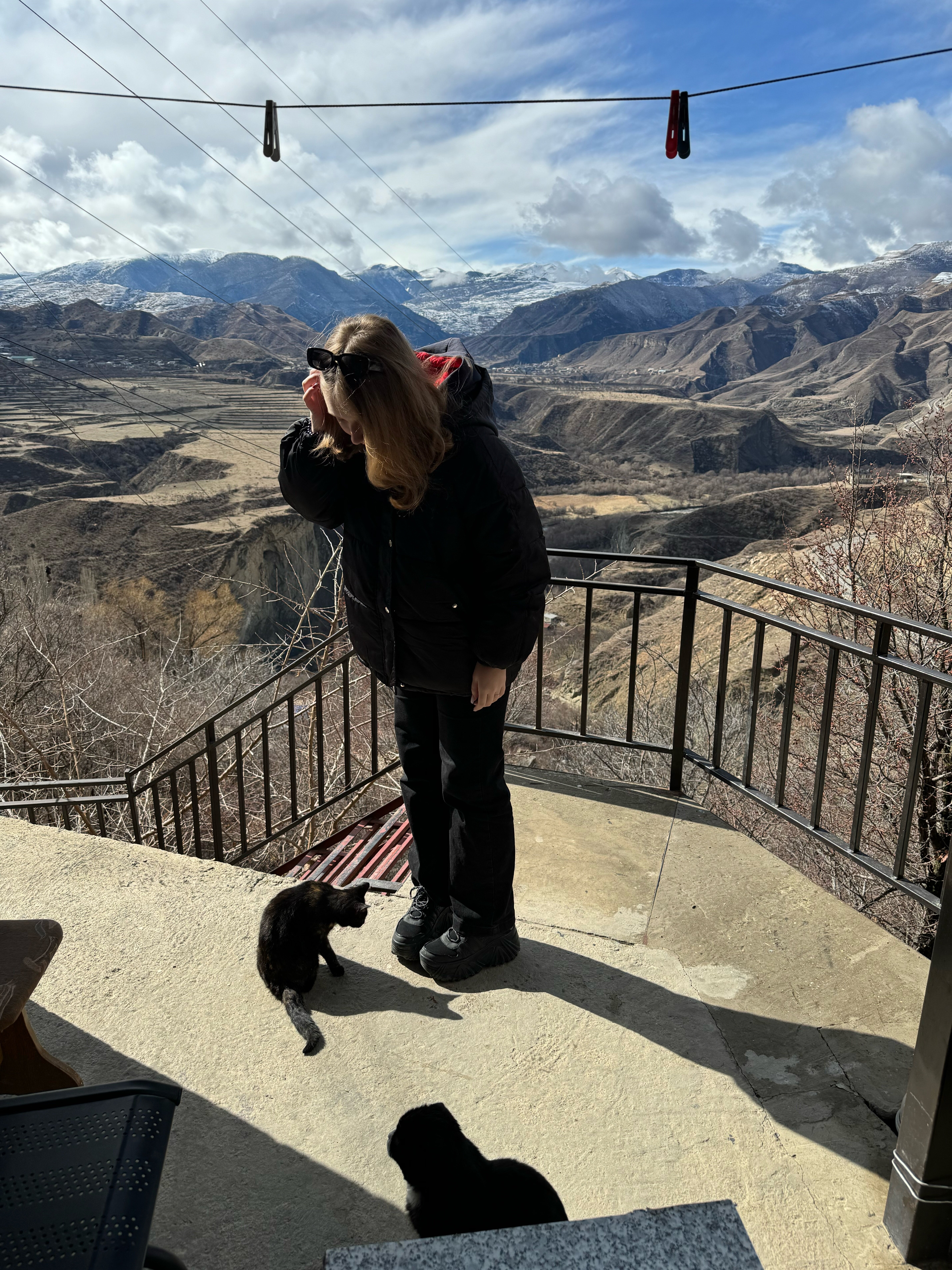 Фото Пение птиц