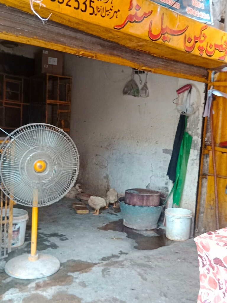 Egg and poultry meat Al Rehman Chicken Sale Center, Lahore, photo