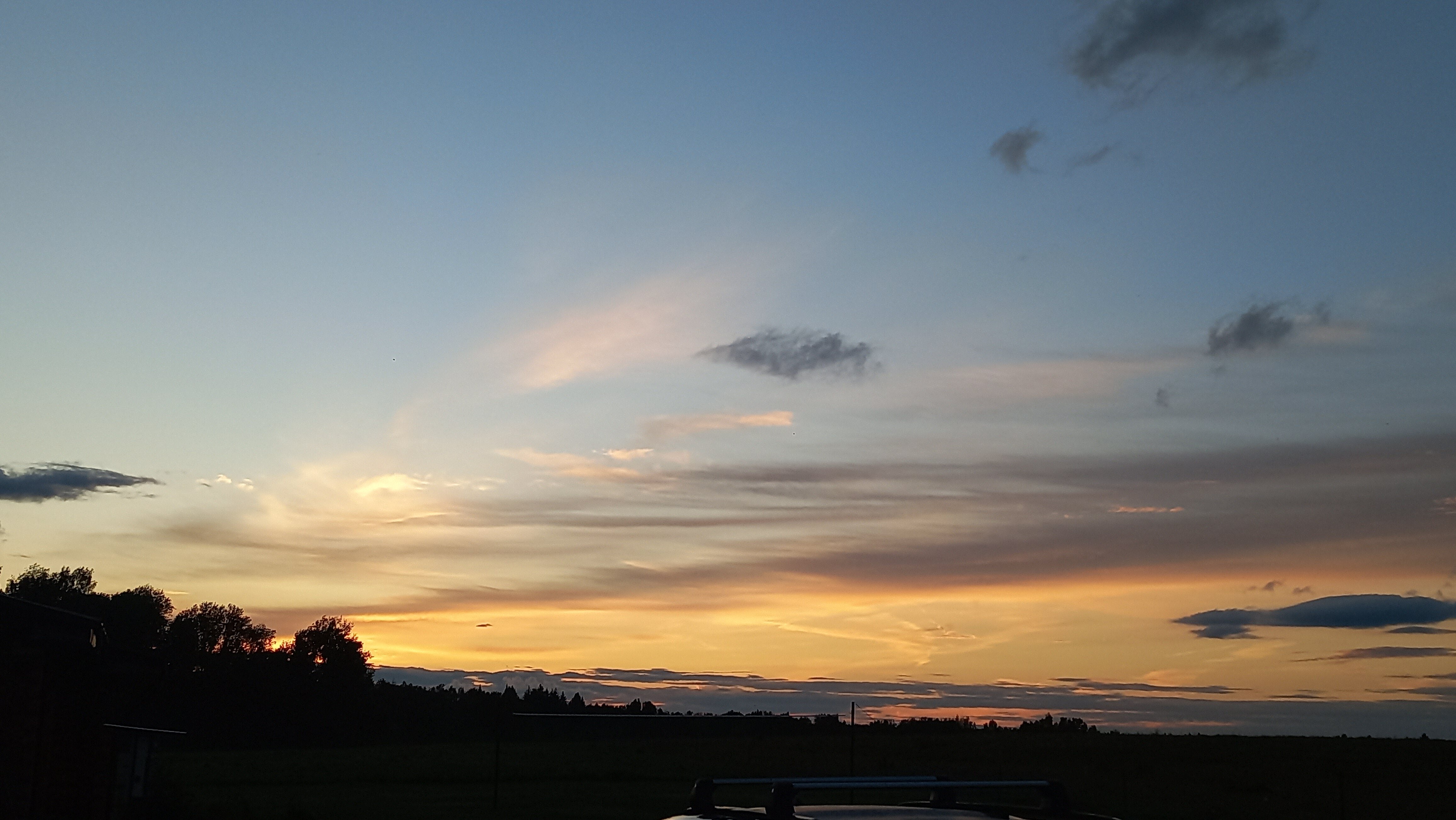 Фото Михайловское угодье