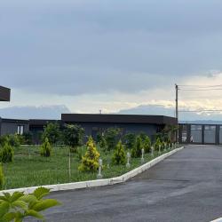 Фото Мамрач