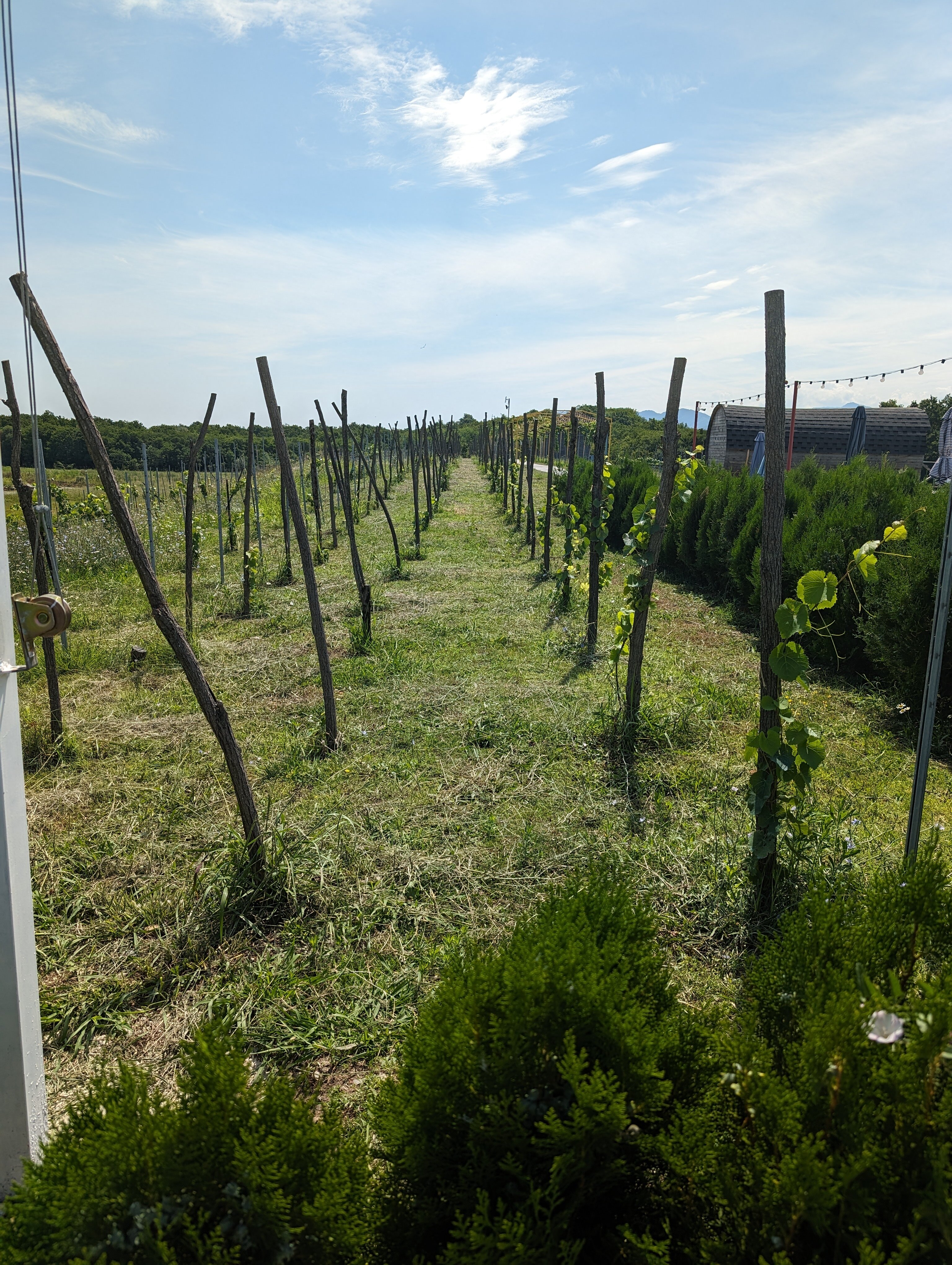 Фото Chateau Vartsikhe
