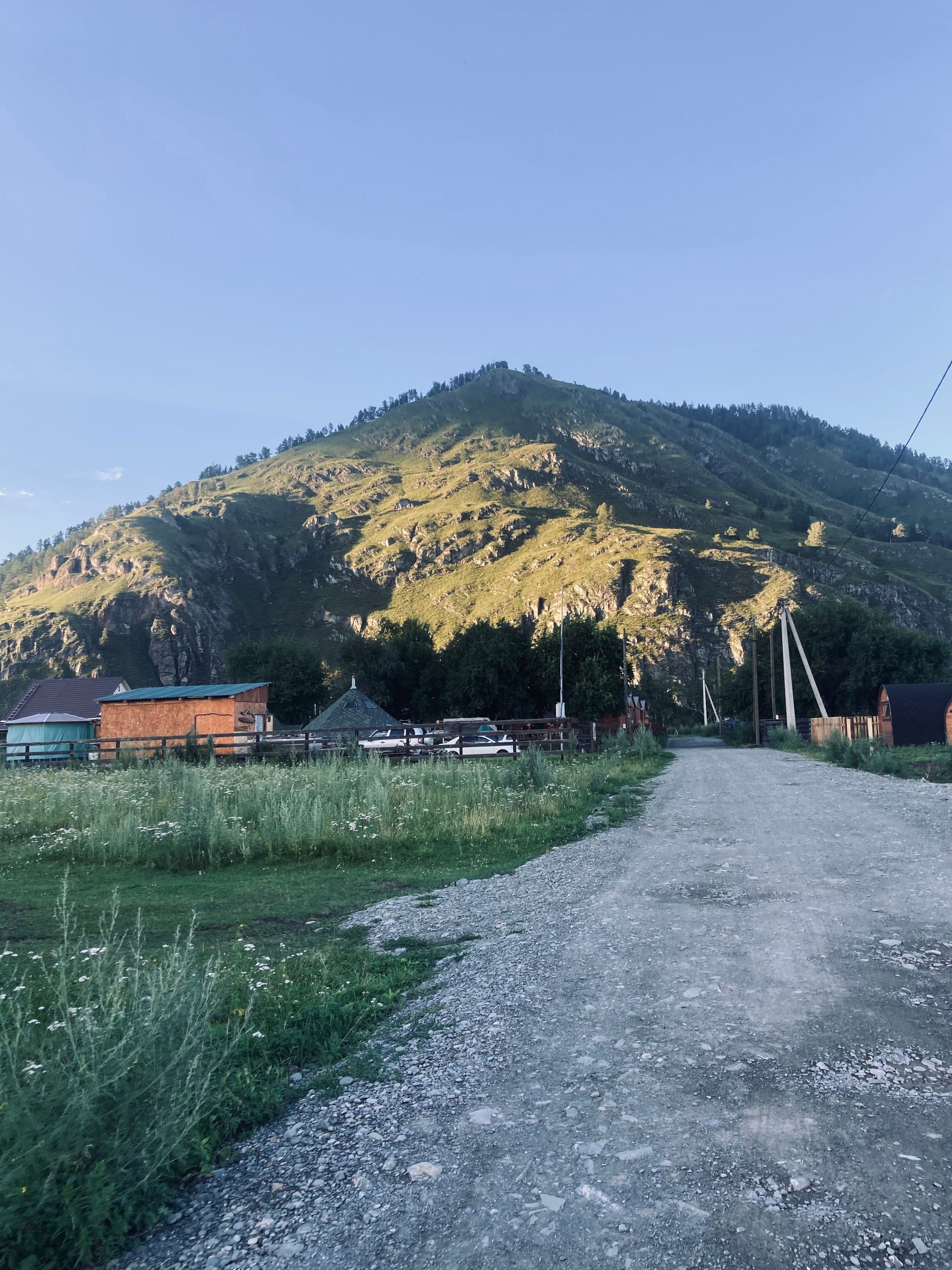 Фото АлтайГруша