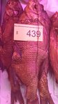 Сельский магазин (selo Alfyorovka, Tsentralnaya ulitsa, 140), grocery