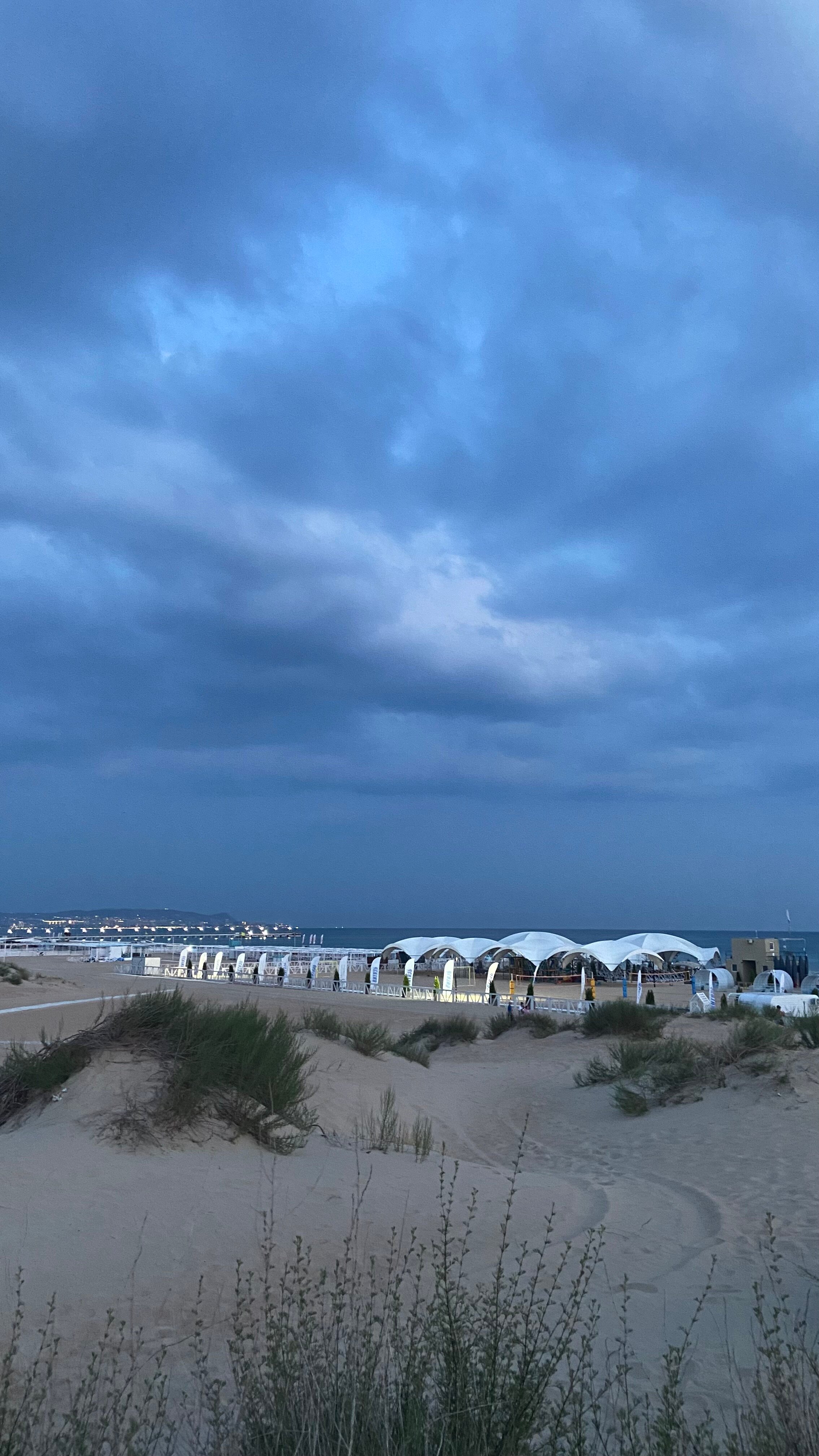 Фото Витязь