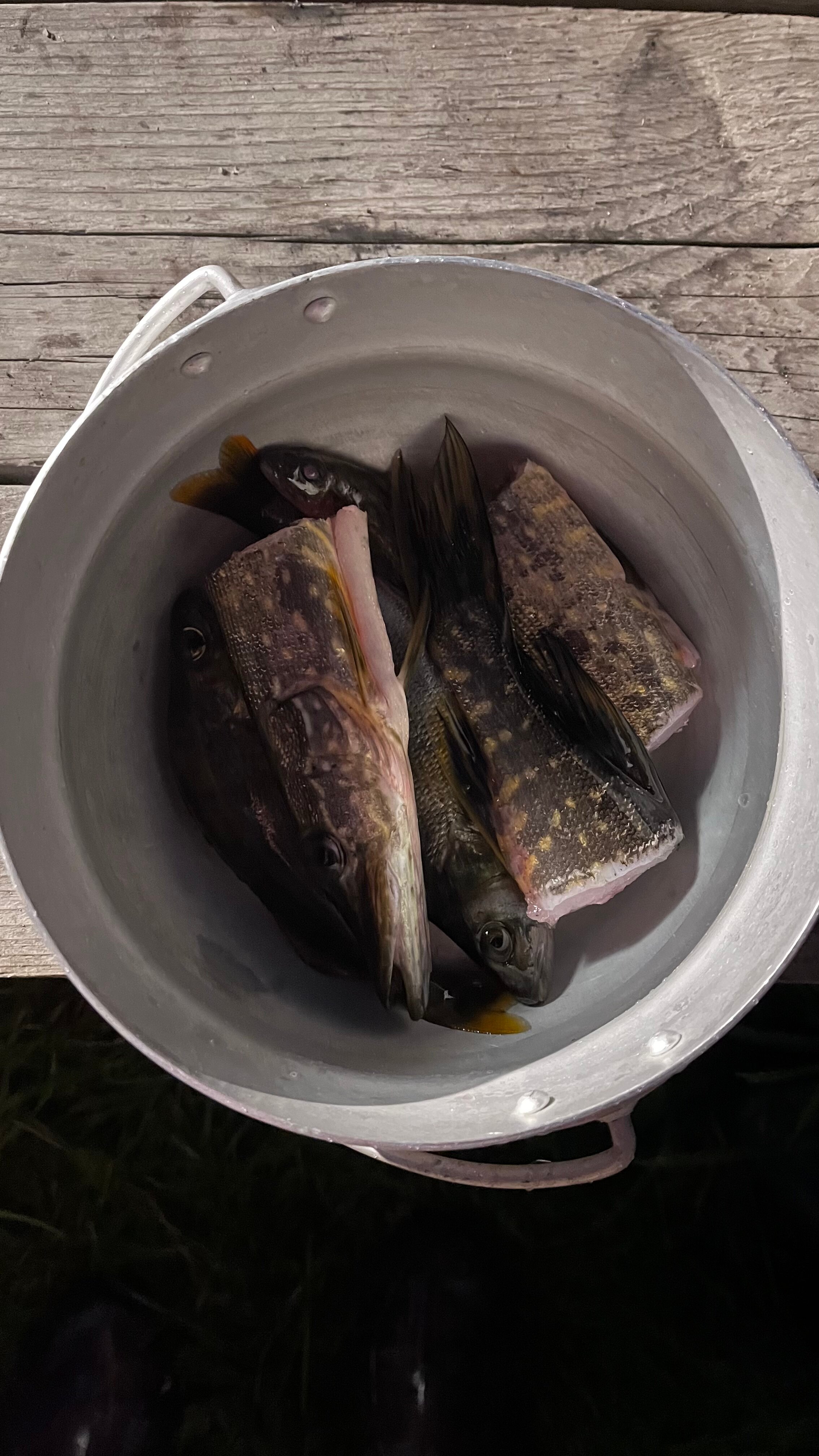 Фото Финский Хутор