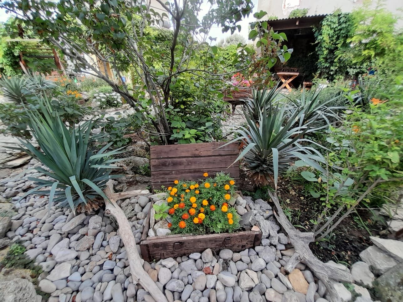 Фото Welcome Голубой залив