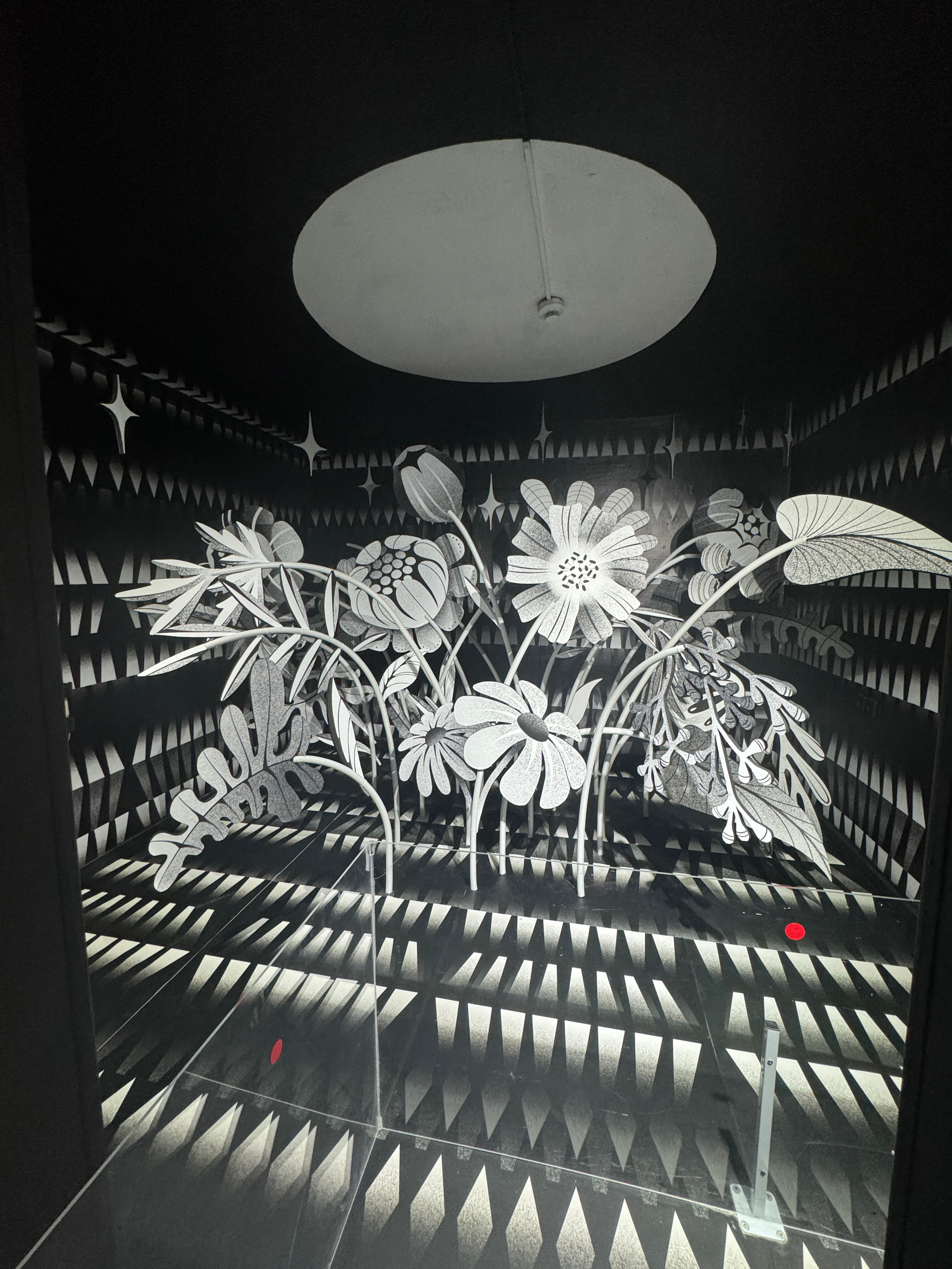 Фото Империал