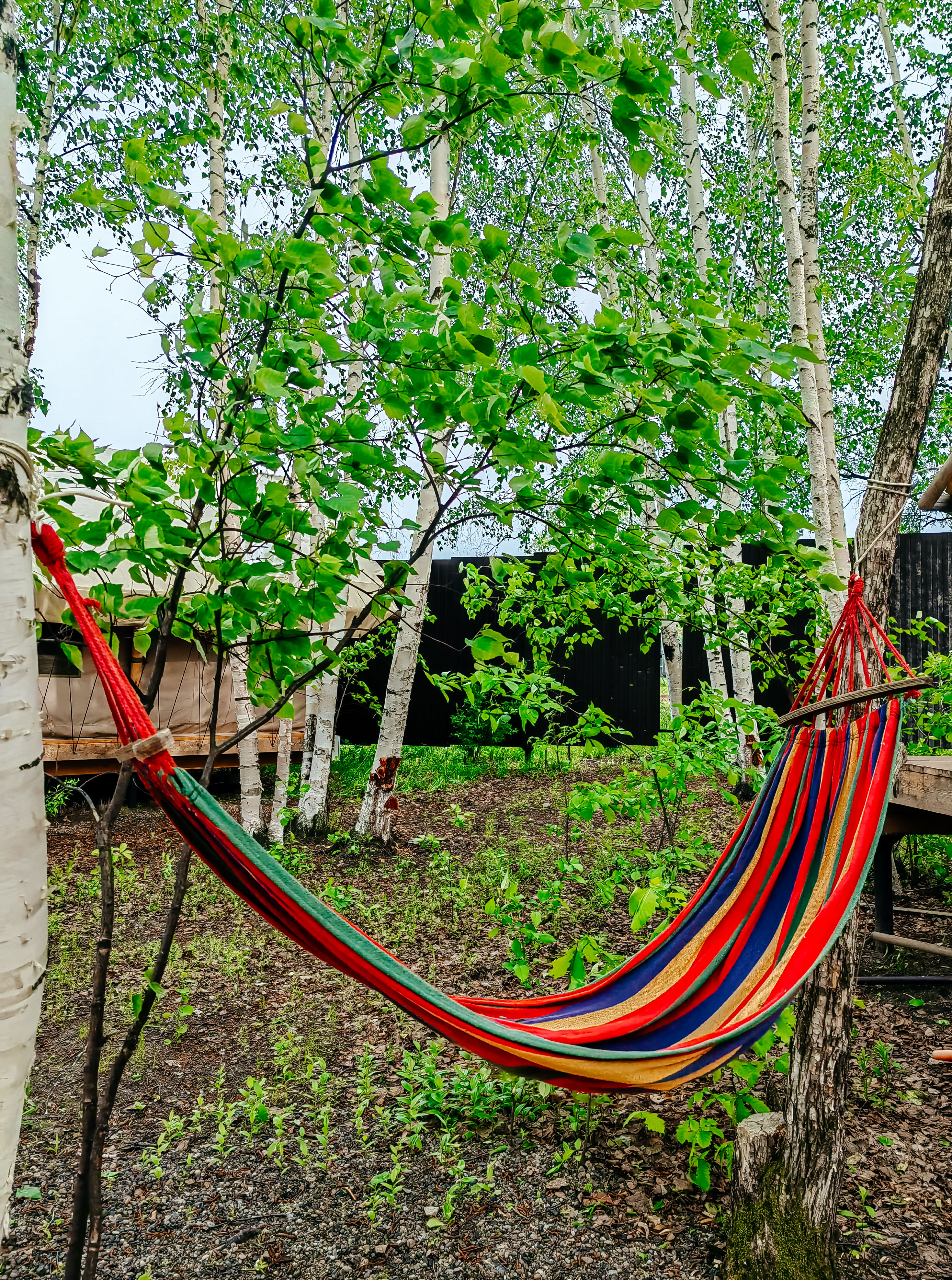 Фото ЗаГород