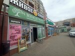 LLC NSService (Rusijanava Street, 4), electric and gas powered tools