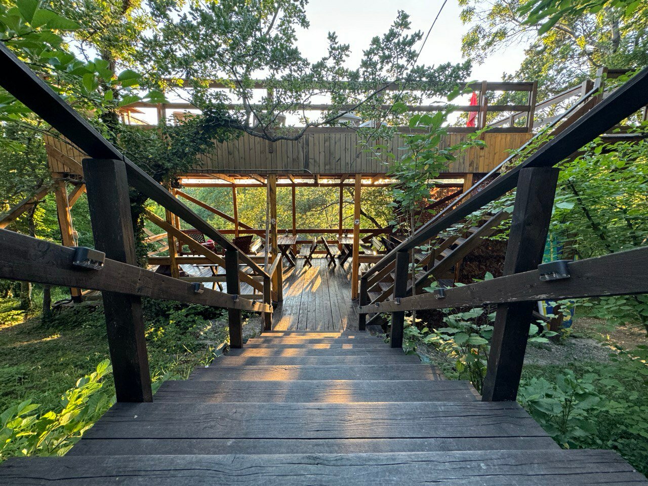 Фото Бегом к нам