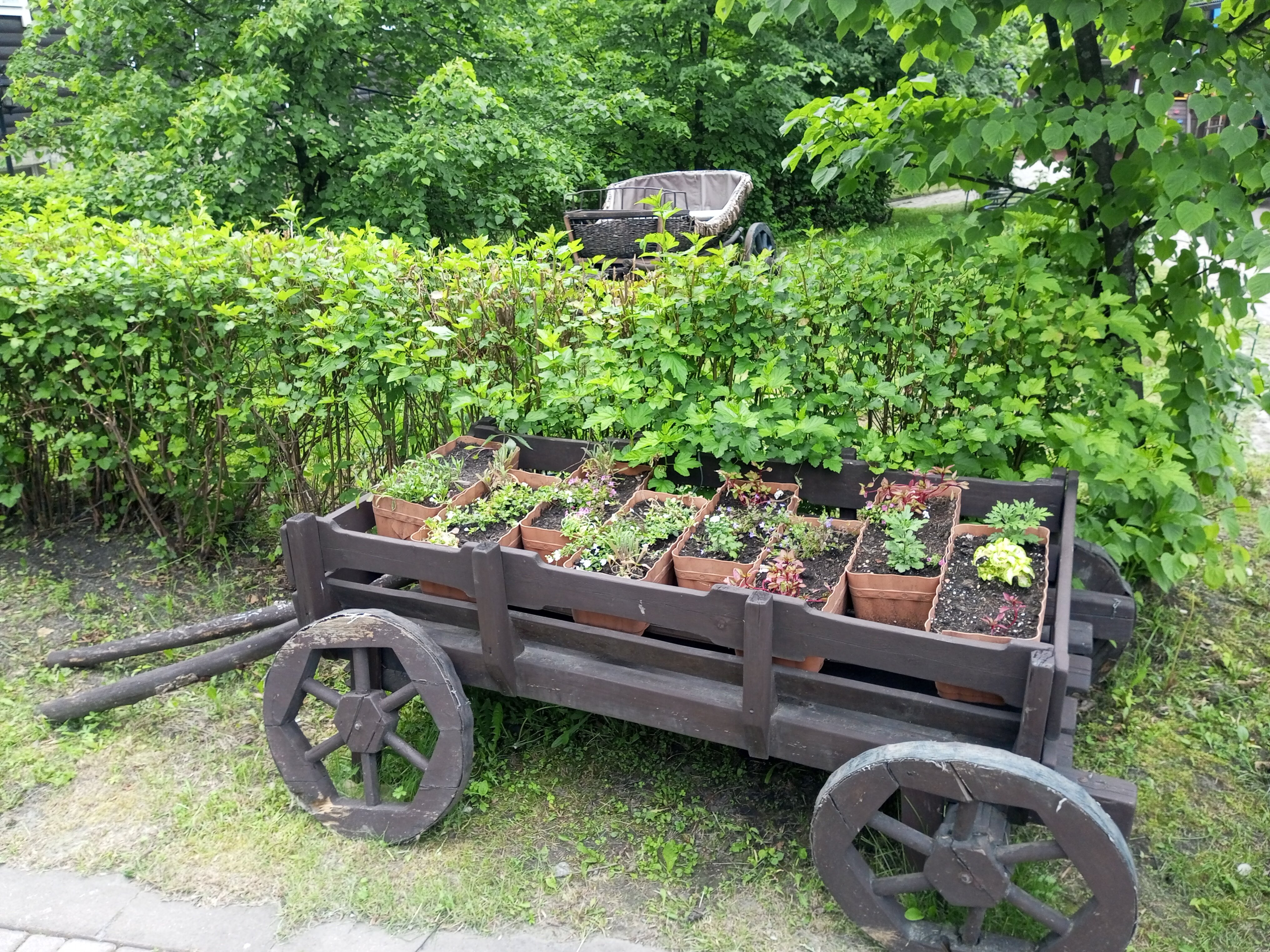 Фото Царская охота