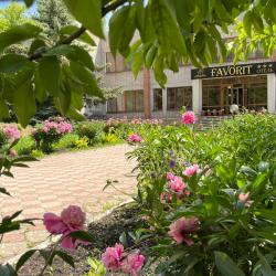 Фото Фаворит