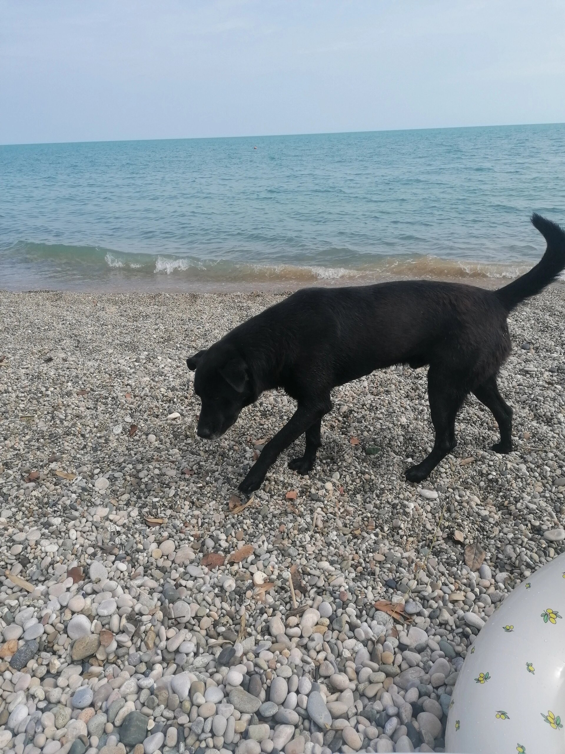 Фото Дени Дельмар