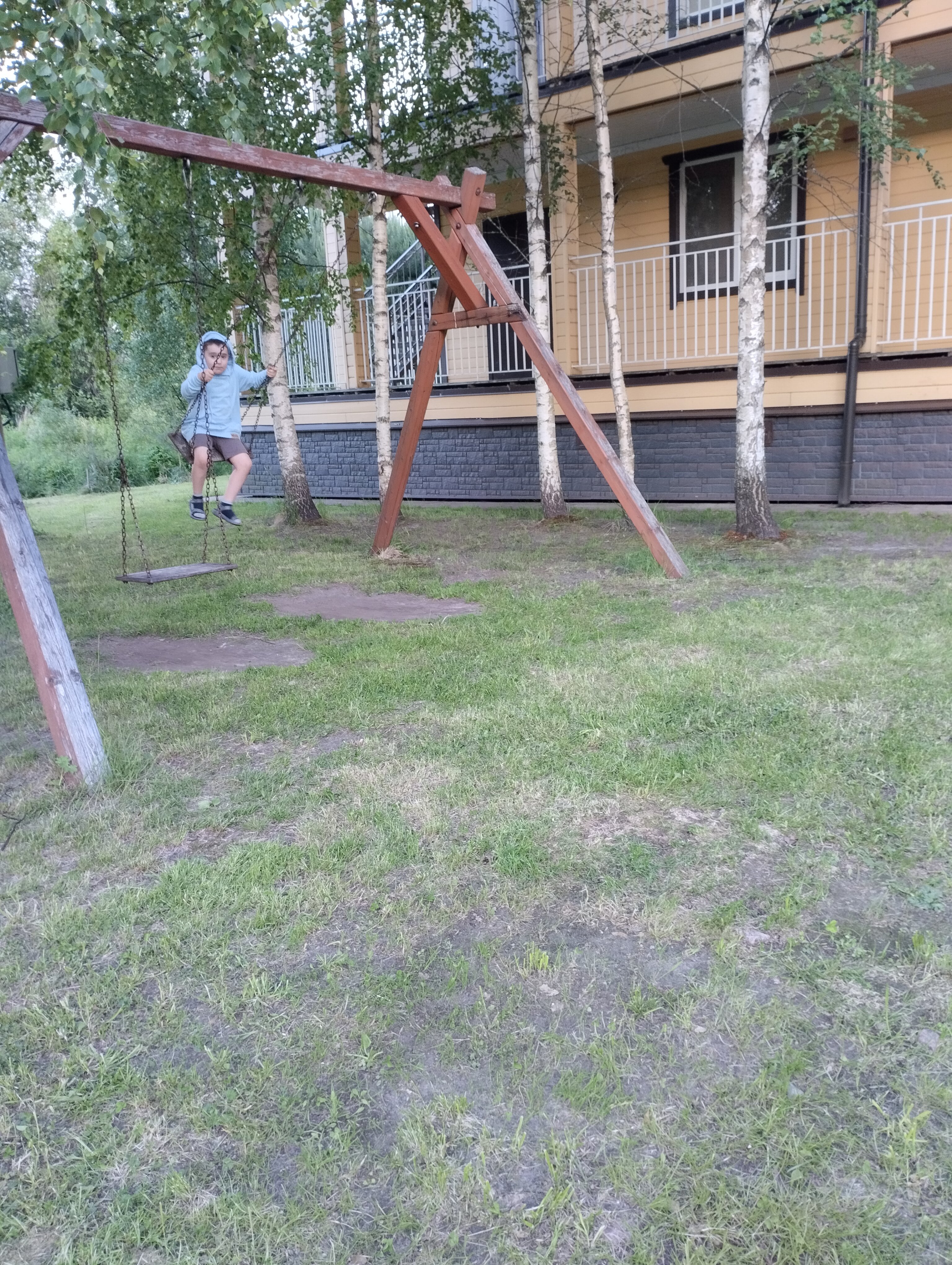 Фото Березки