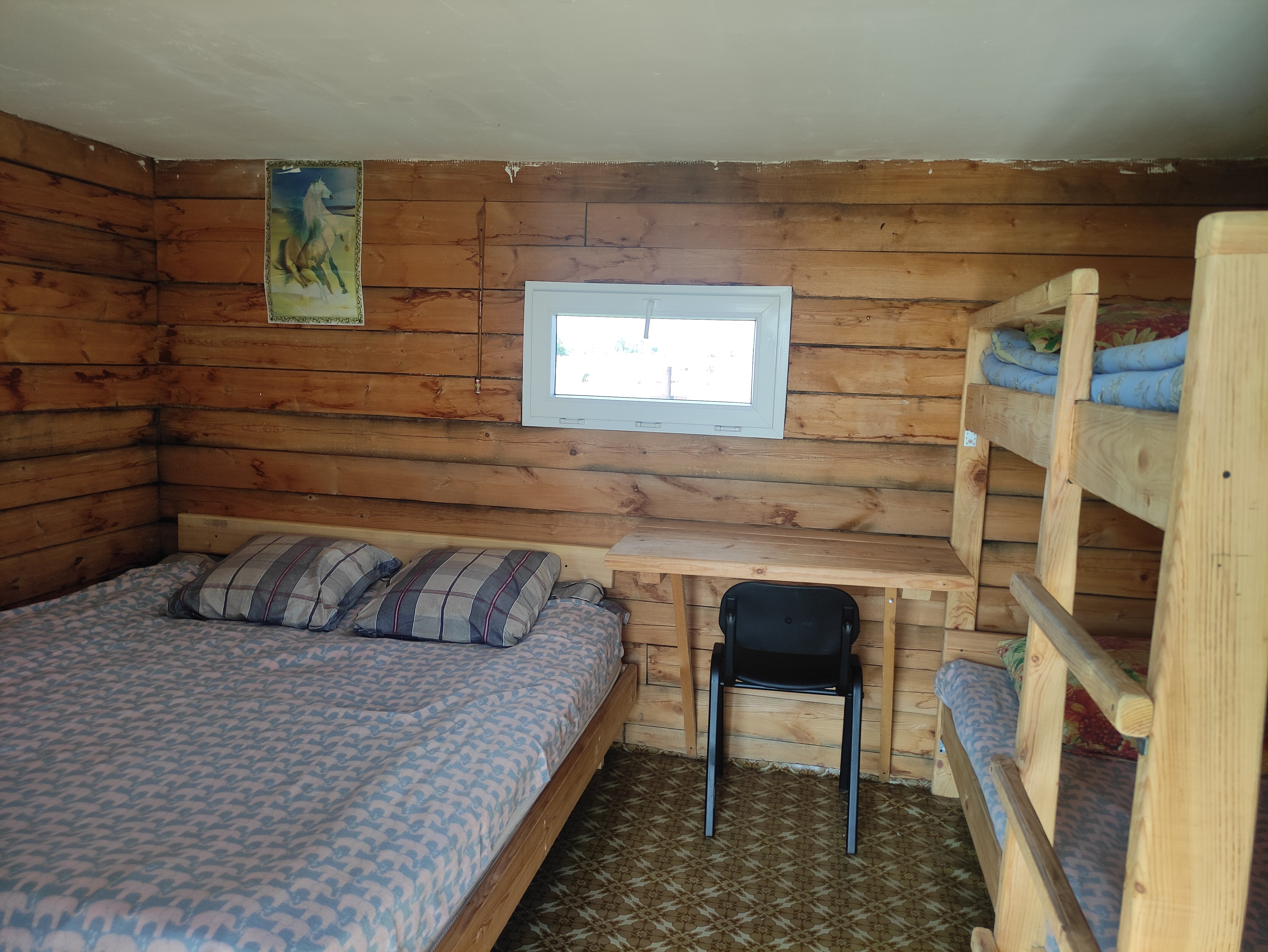 Фото Холодок