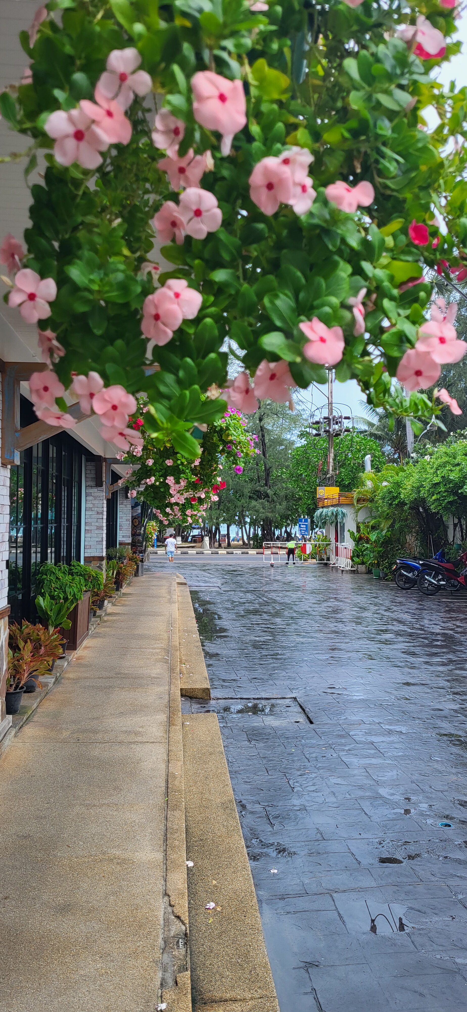 Фото Grand Sunset Hotel