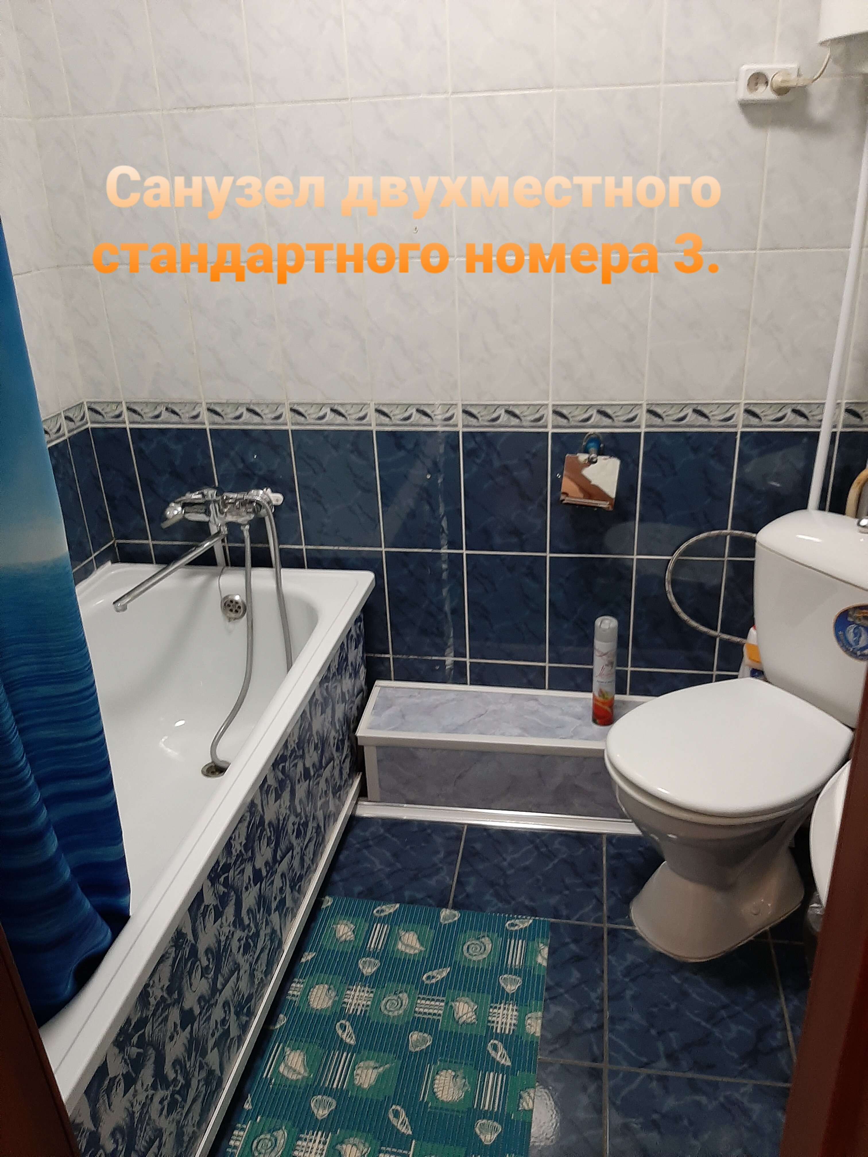 Фото Колибри