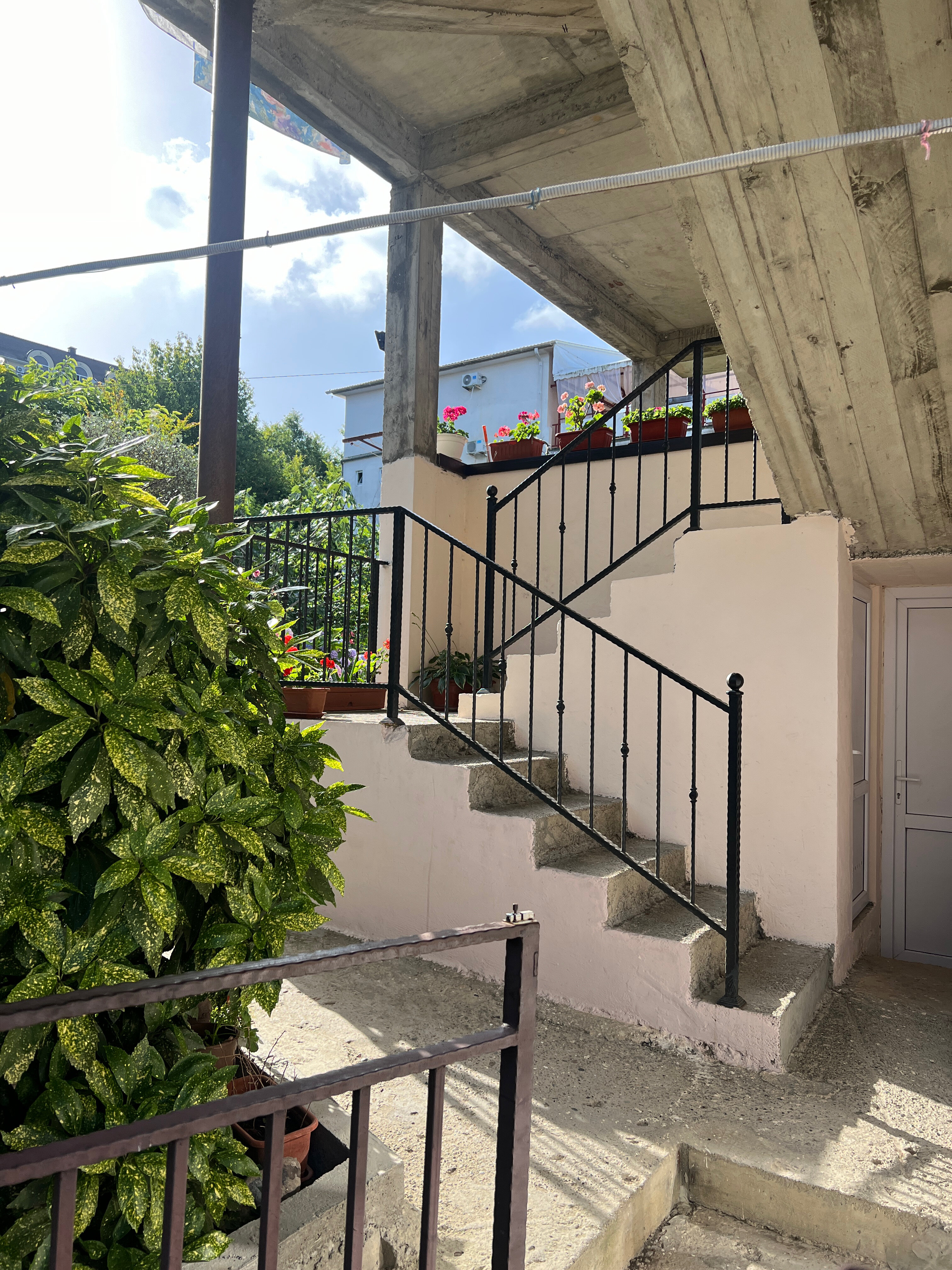 Фото Банановый рай