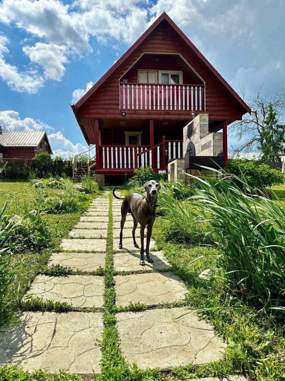 Фото У реки 44