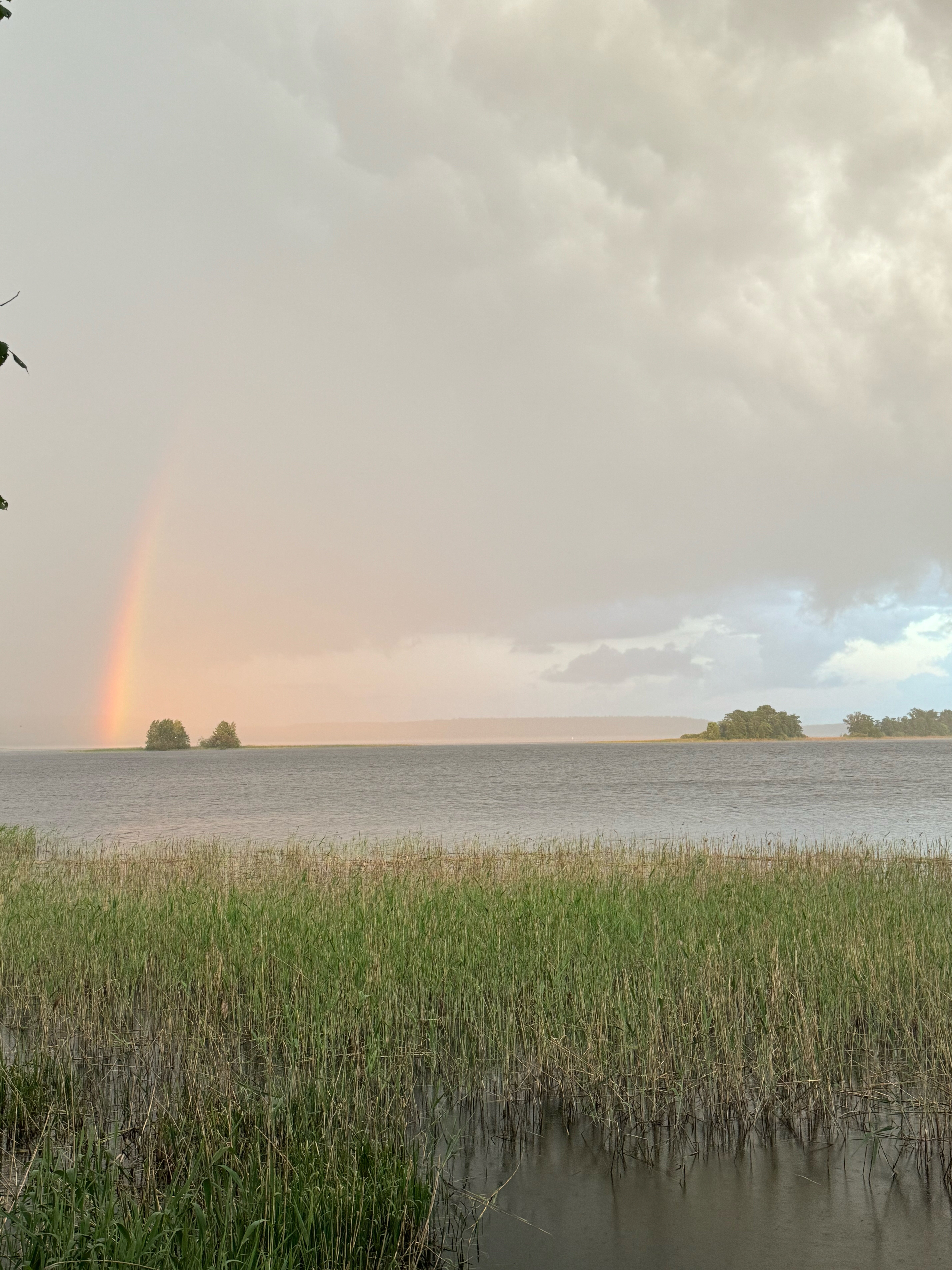 Фото У Янины