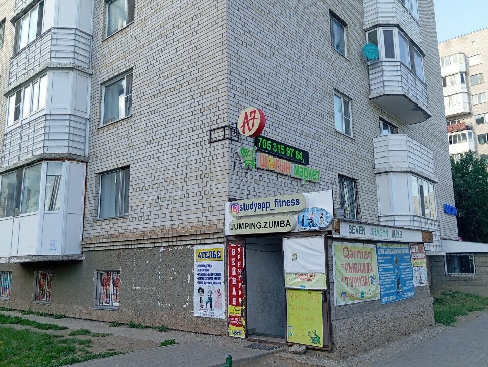 Computer repairs and services Tandau Service, Astana, photo