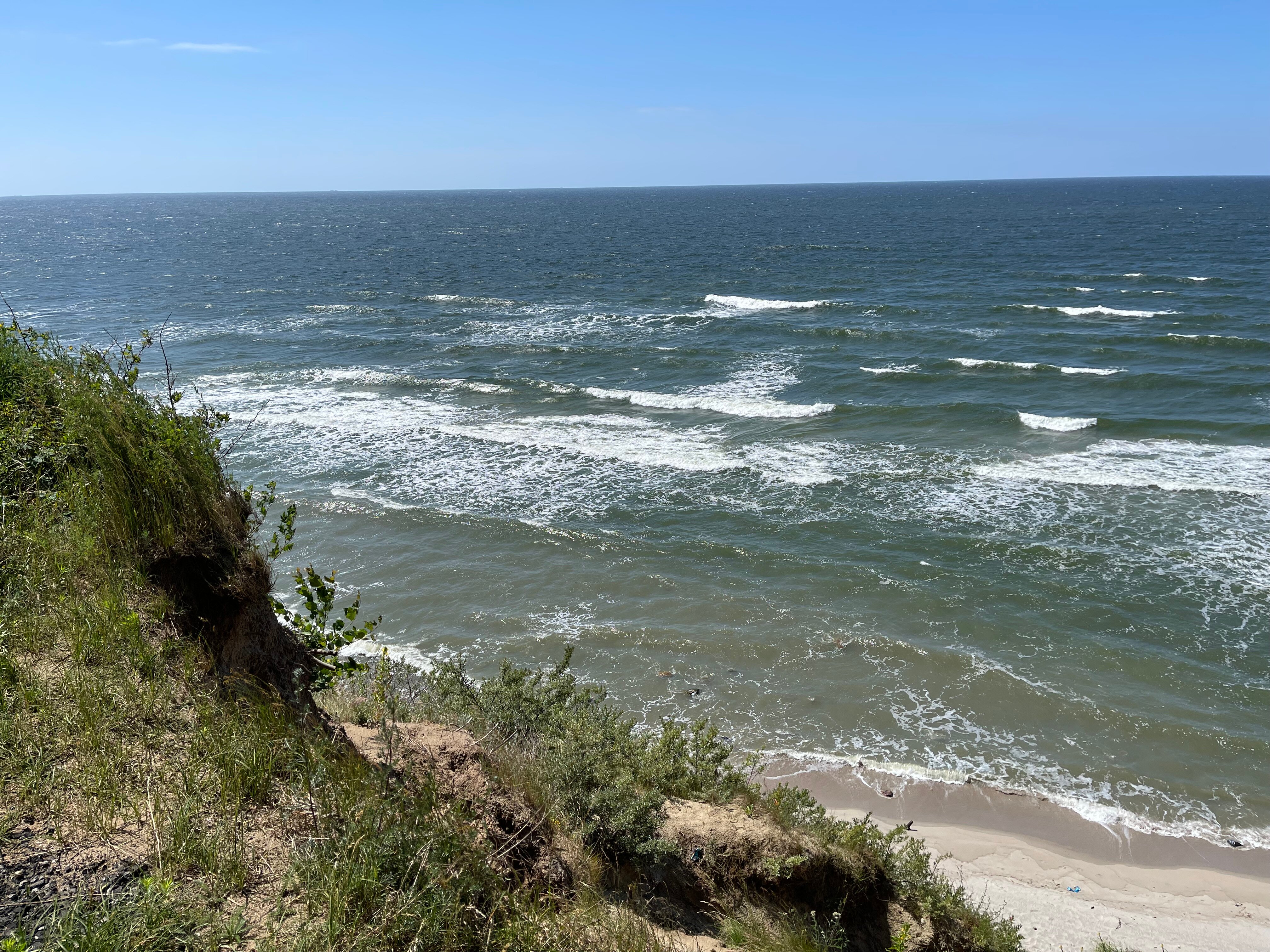 Фото Янтарная Корона