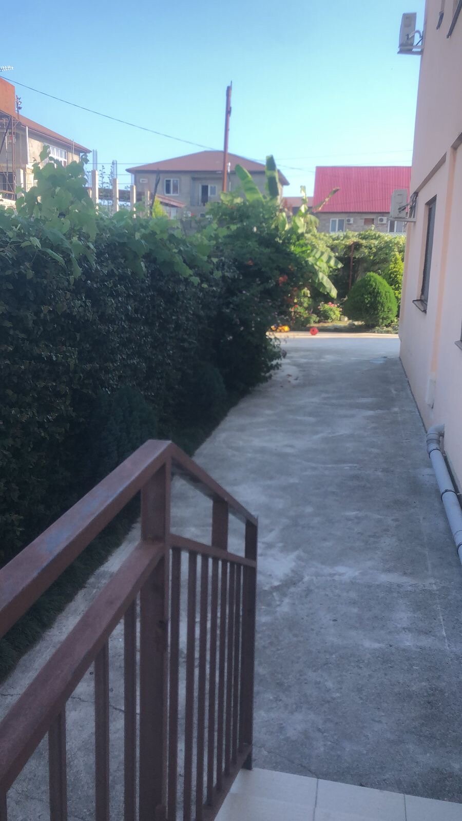 Фото Лантана