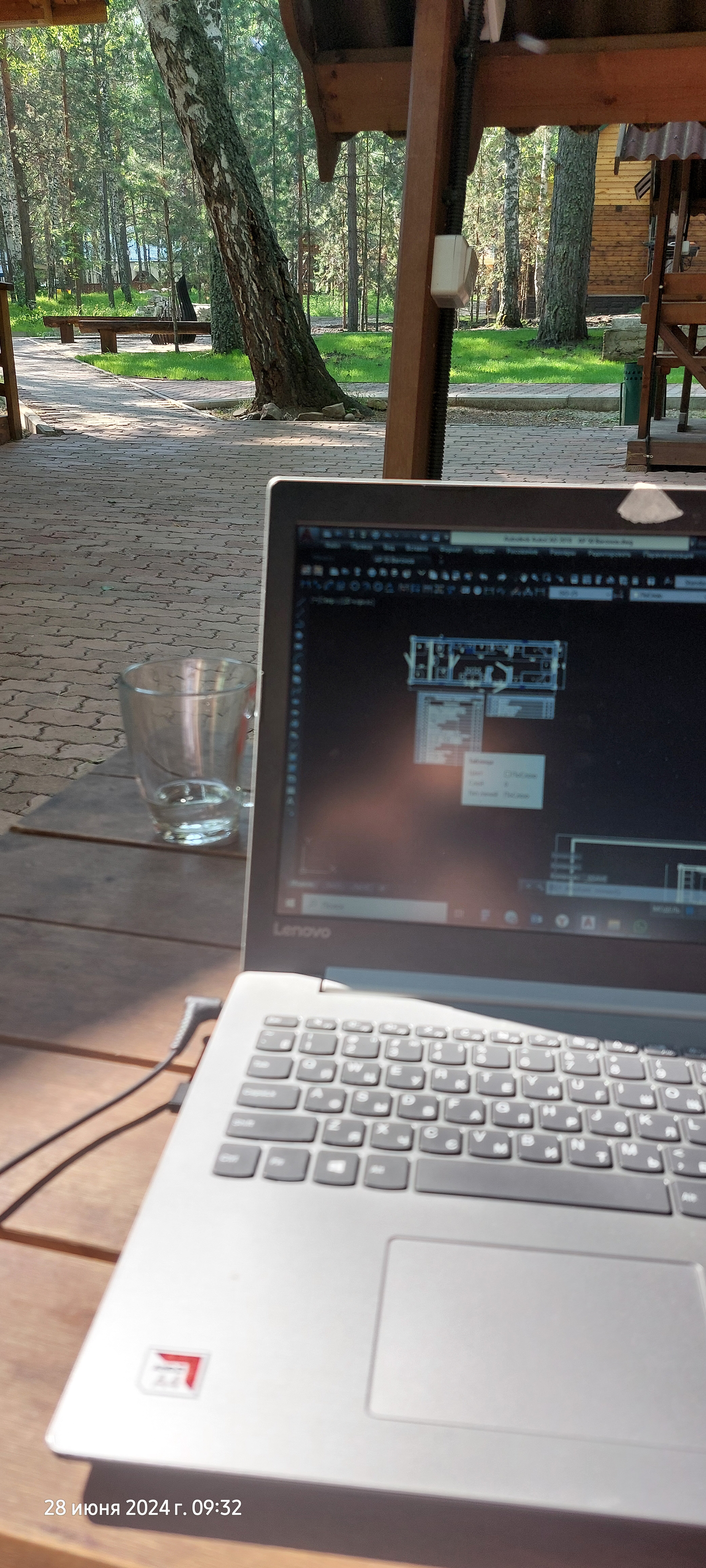 Фото Белая сова