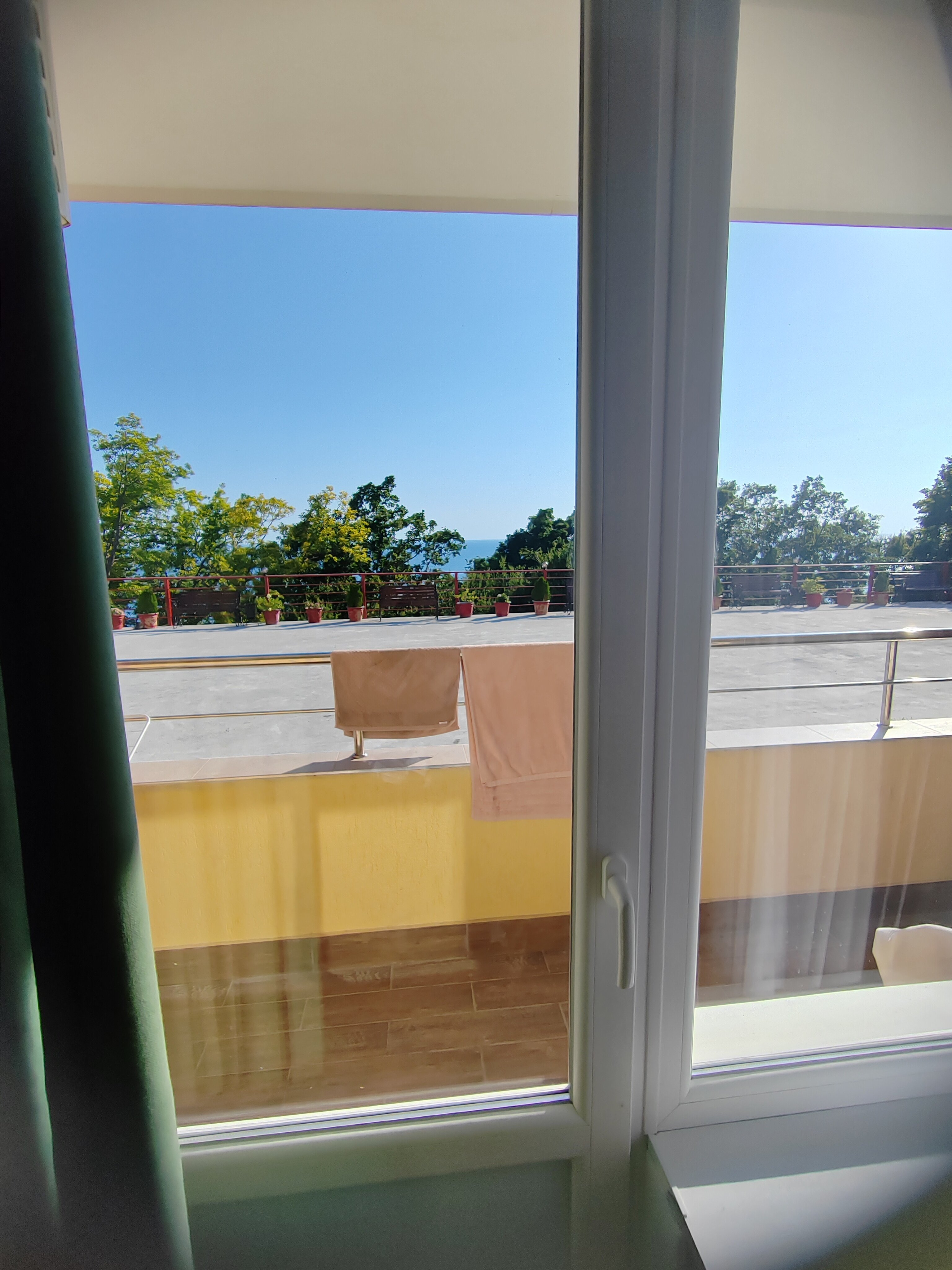 Фото Багира