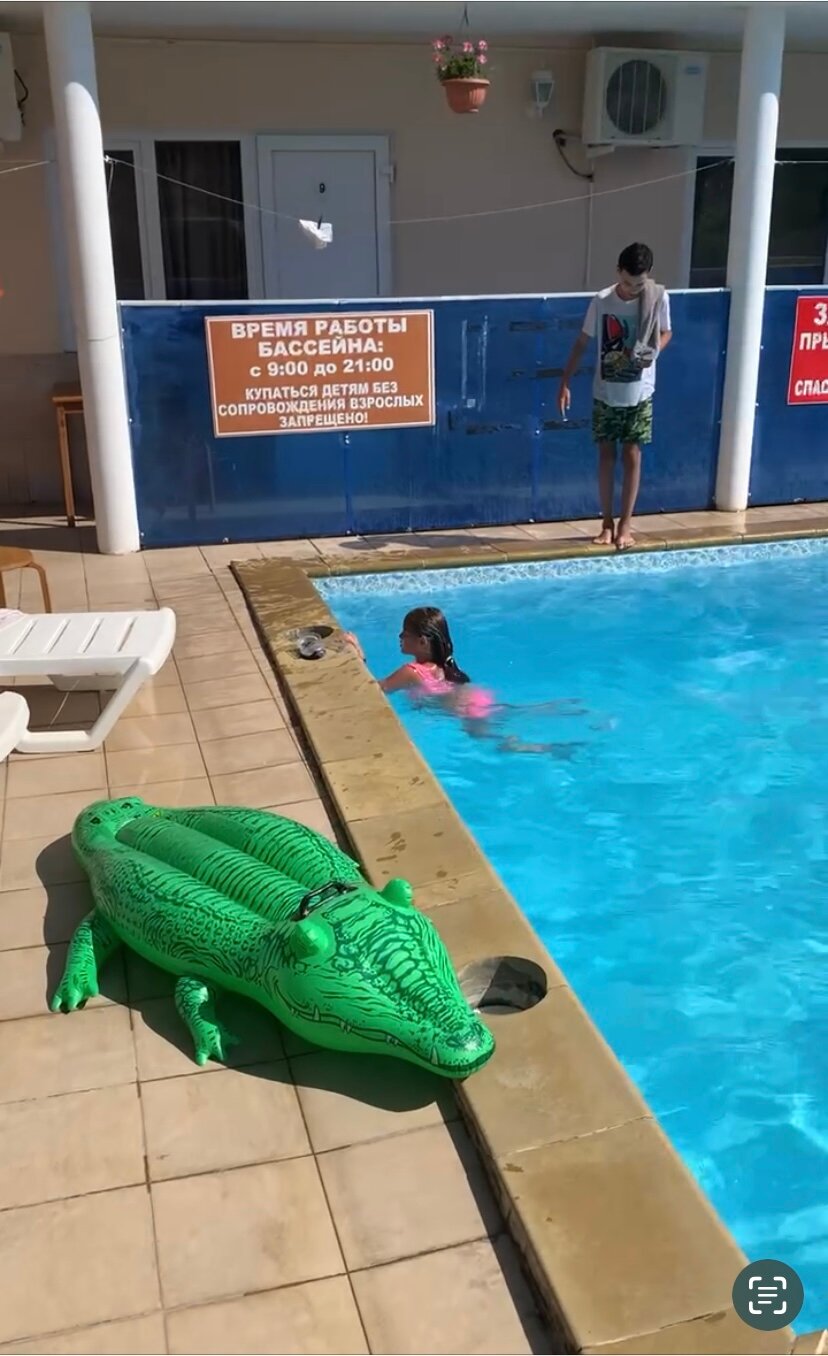 Фото Дельфин