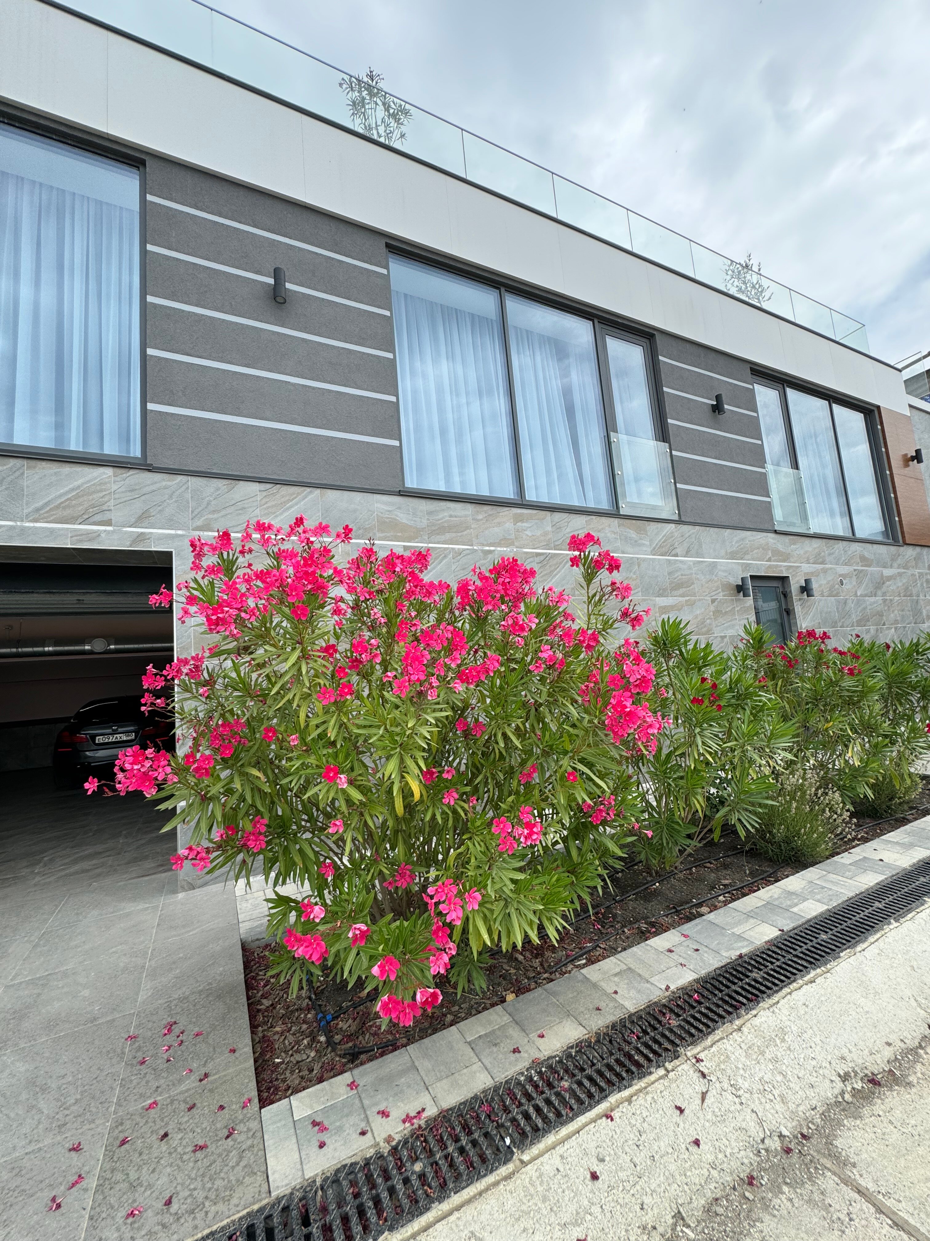 Фото МореЯлта