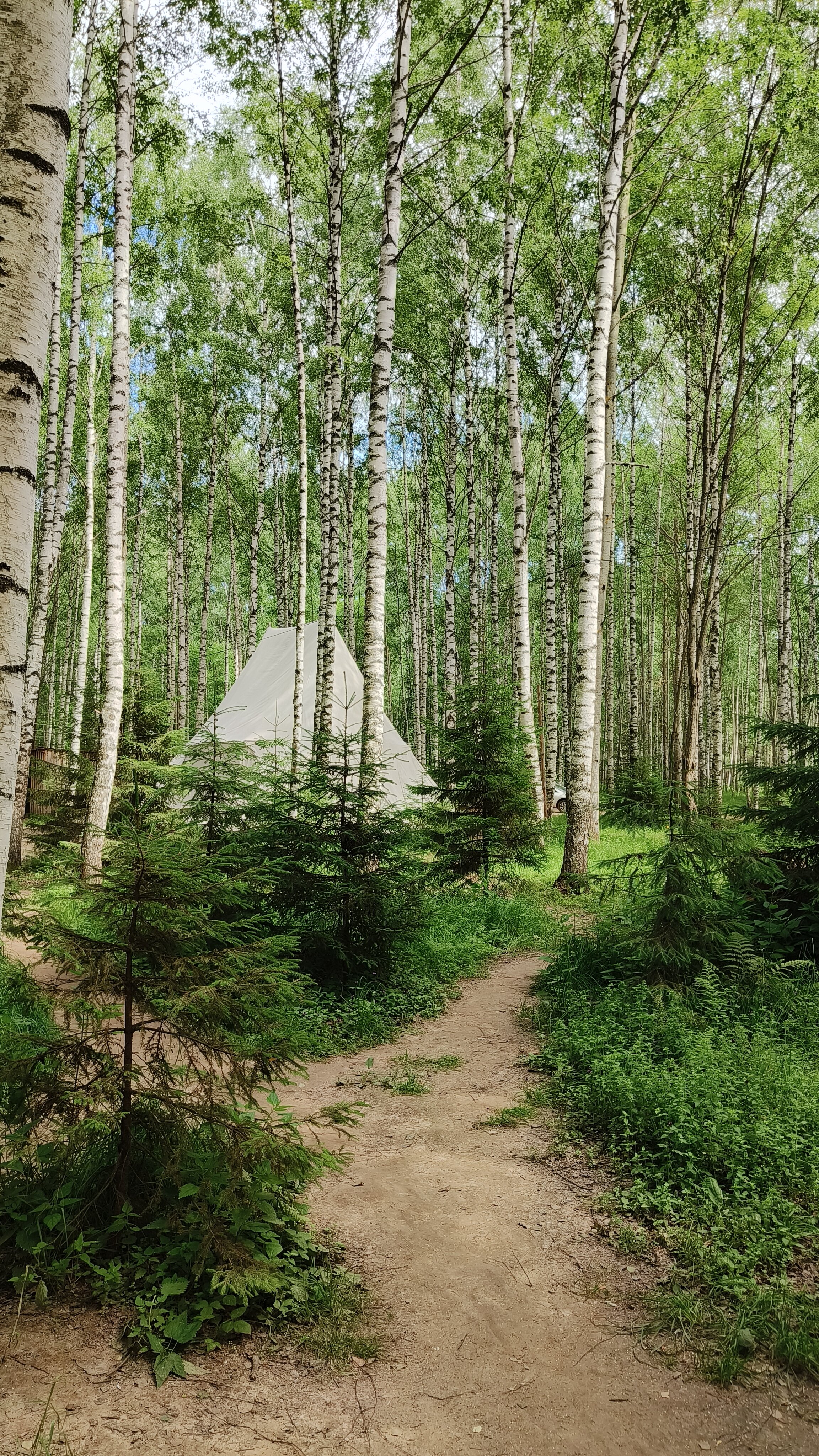 Фото Берег Грифона