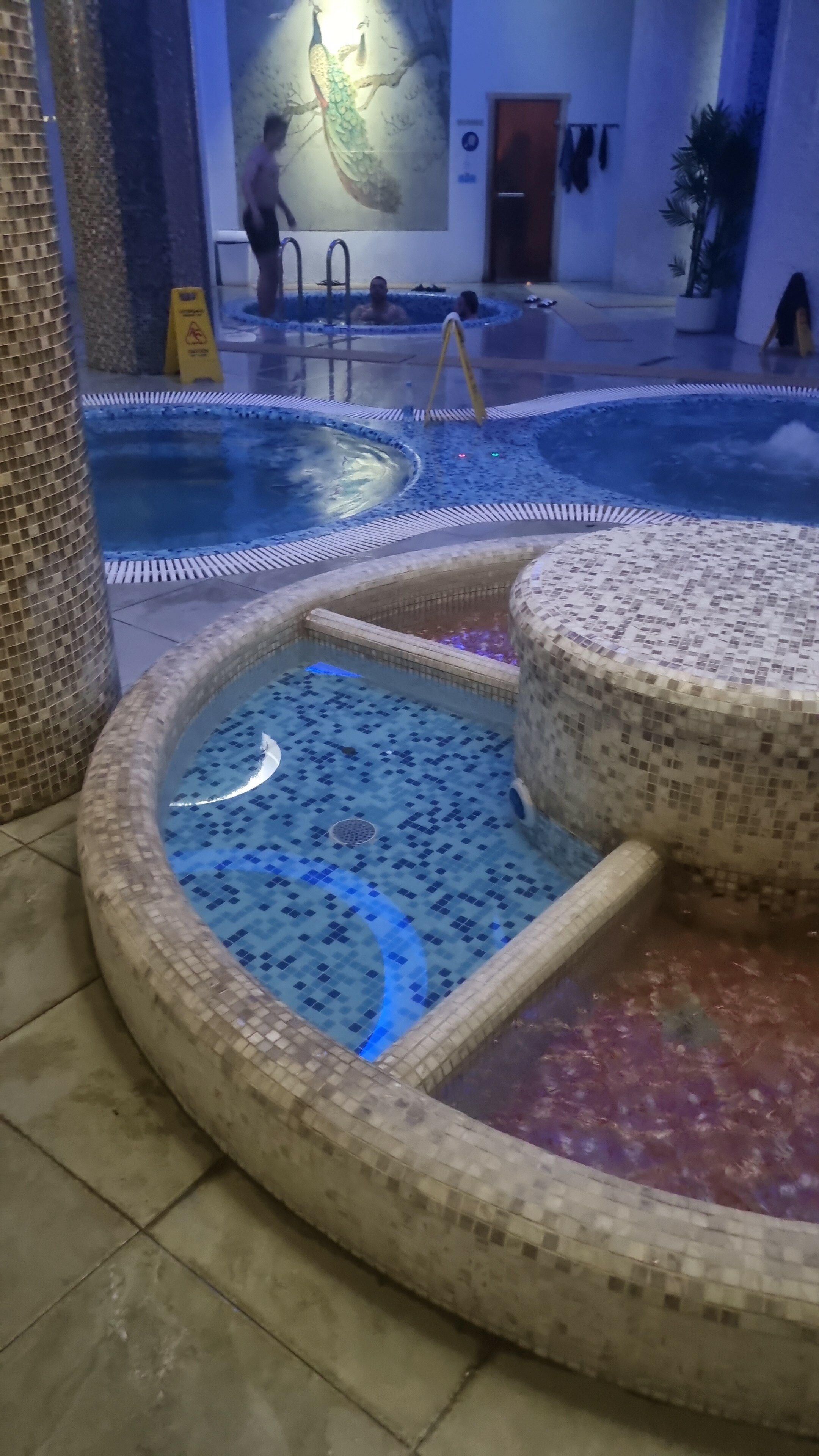 Фото Grand SPA Hotel Avax