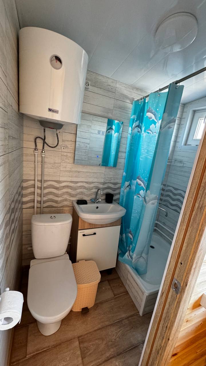 Фото Песок и дельфины