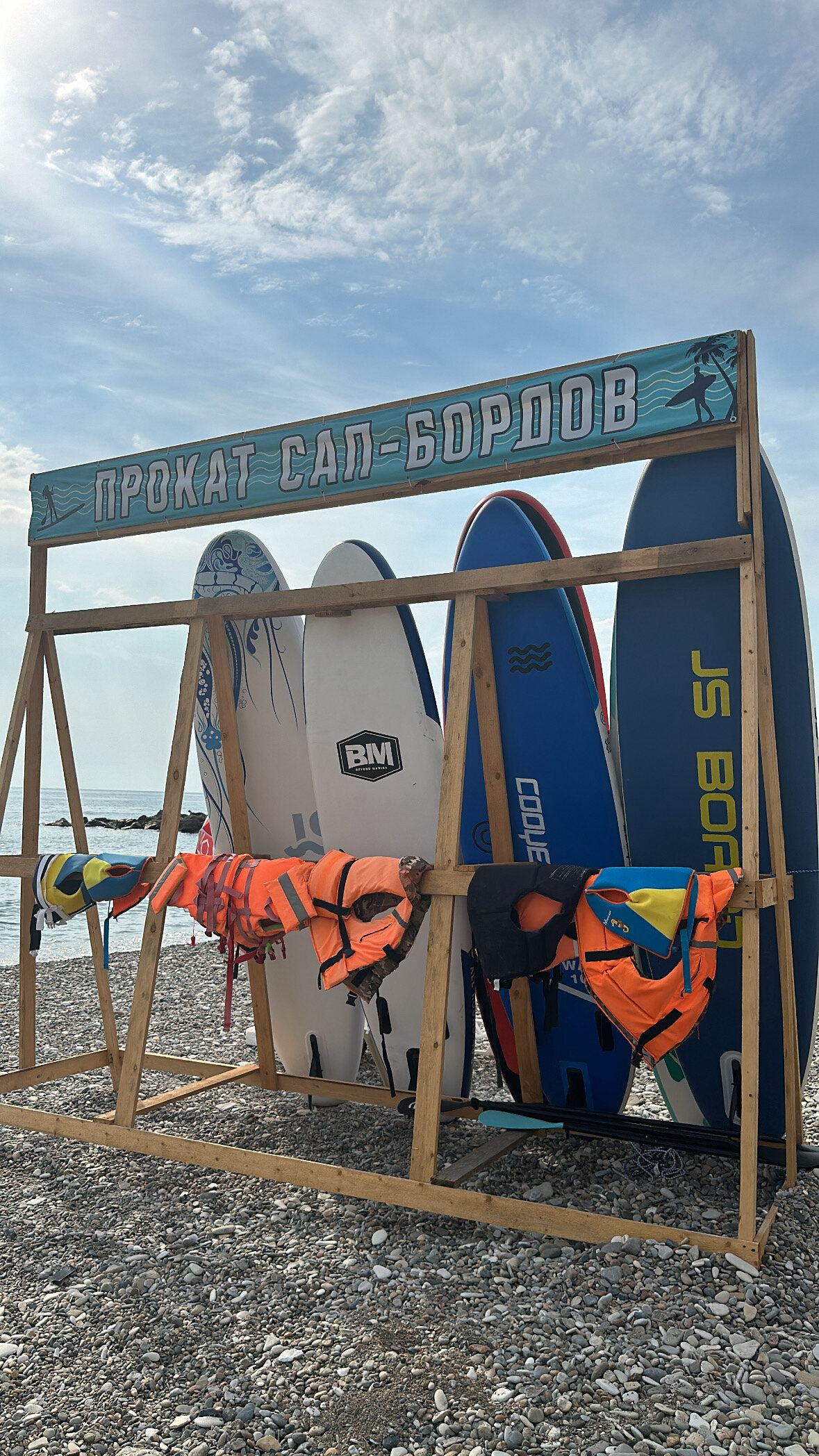 Фото Галина-чайка