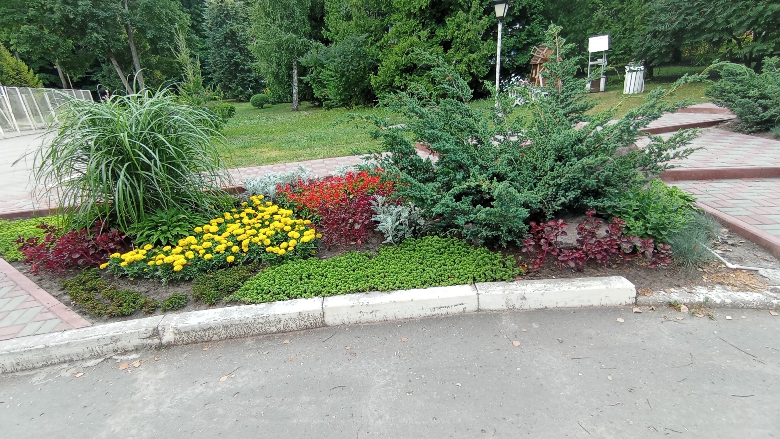 Фото Клинический санаторий им. Горького