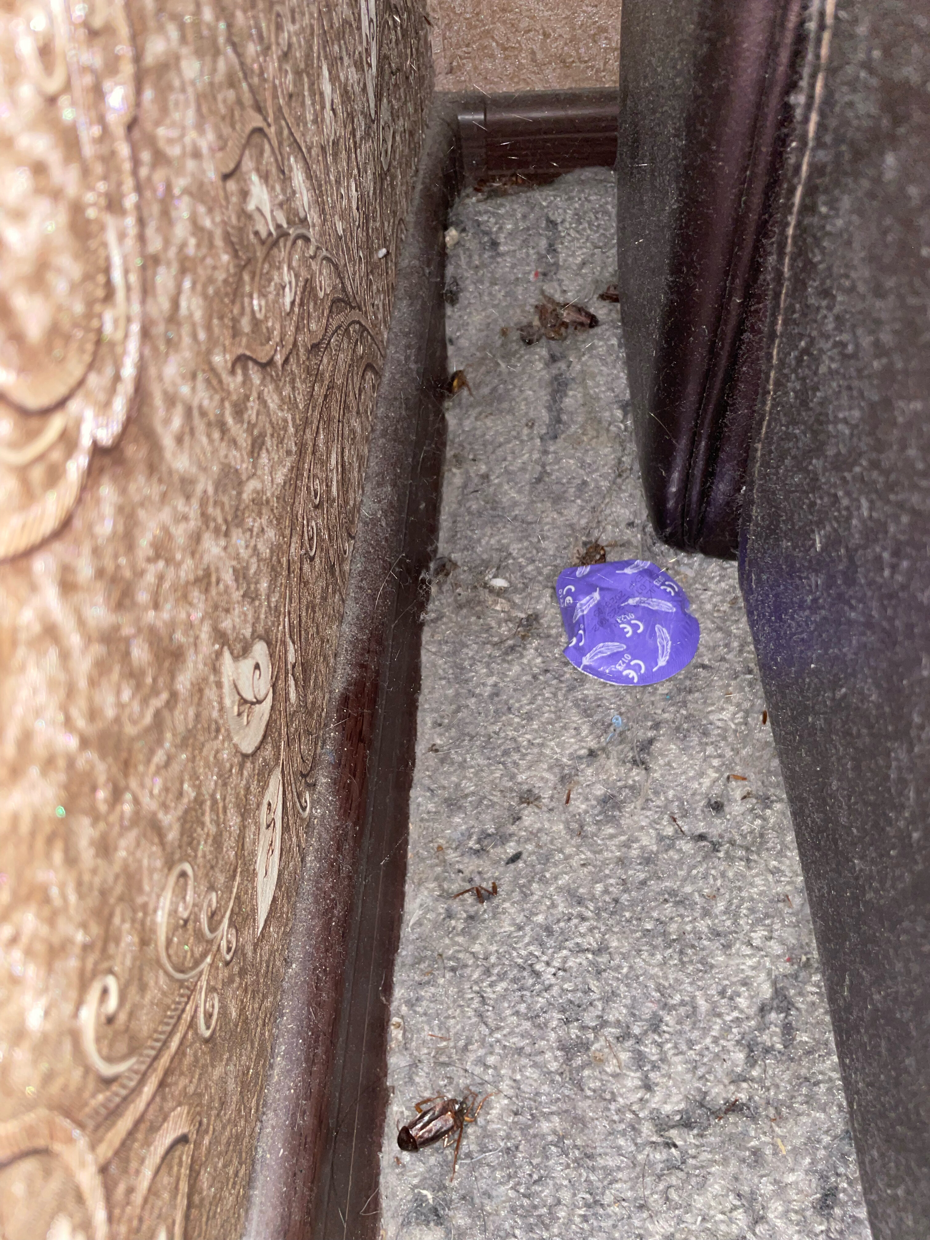 Фото Лондон House