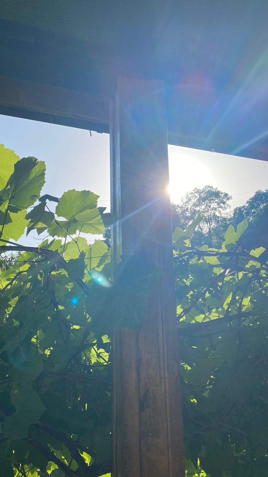 Фото Горное Ущелье