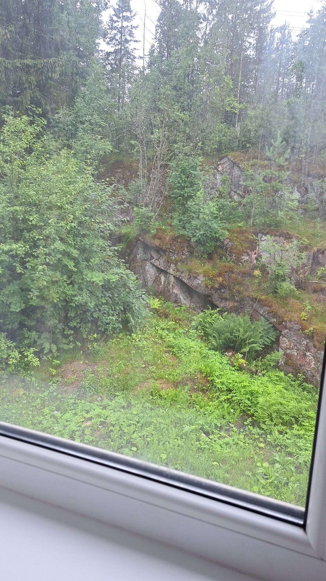 Фото Благодать