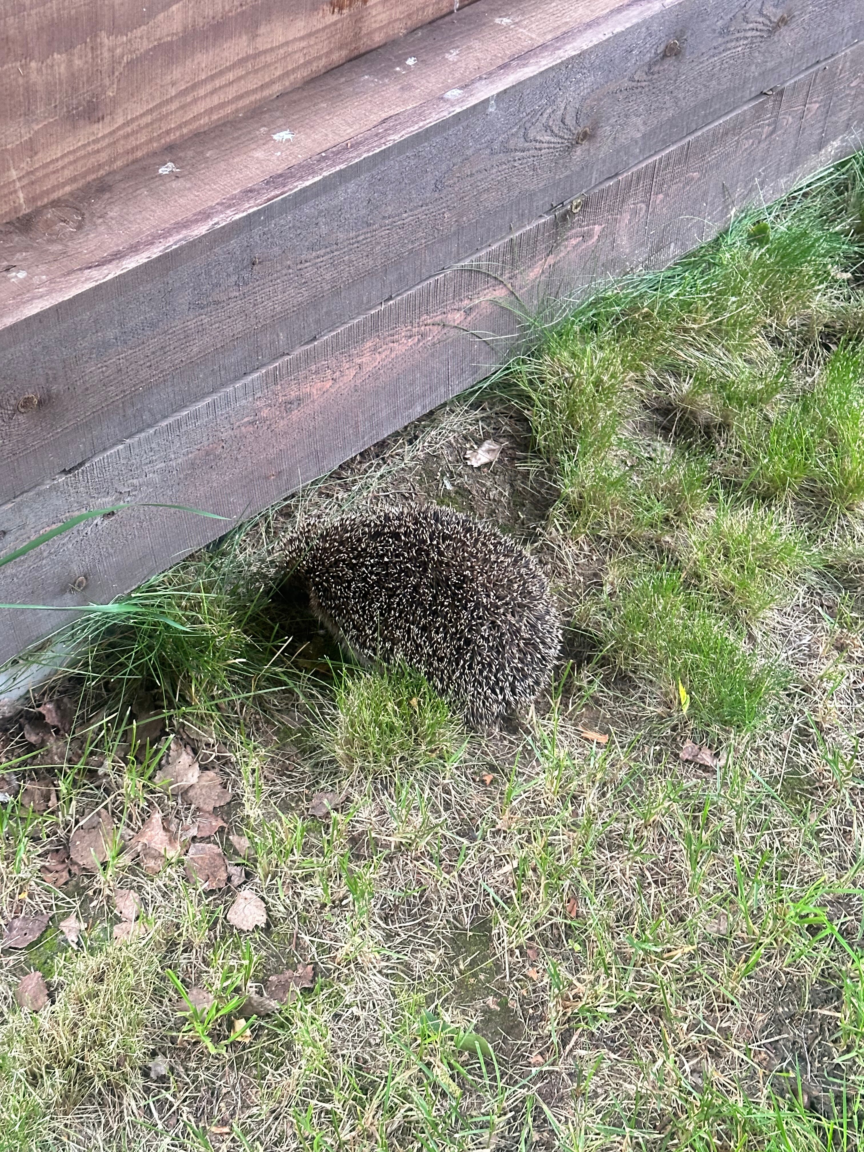 Фото Усадьба Заповедная