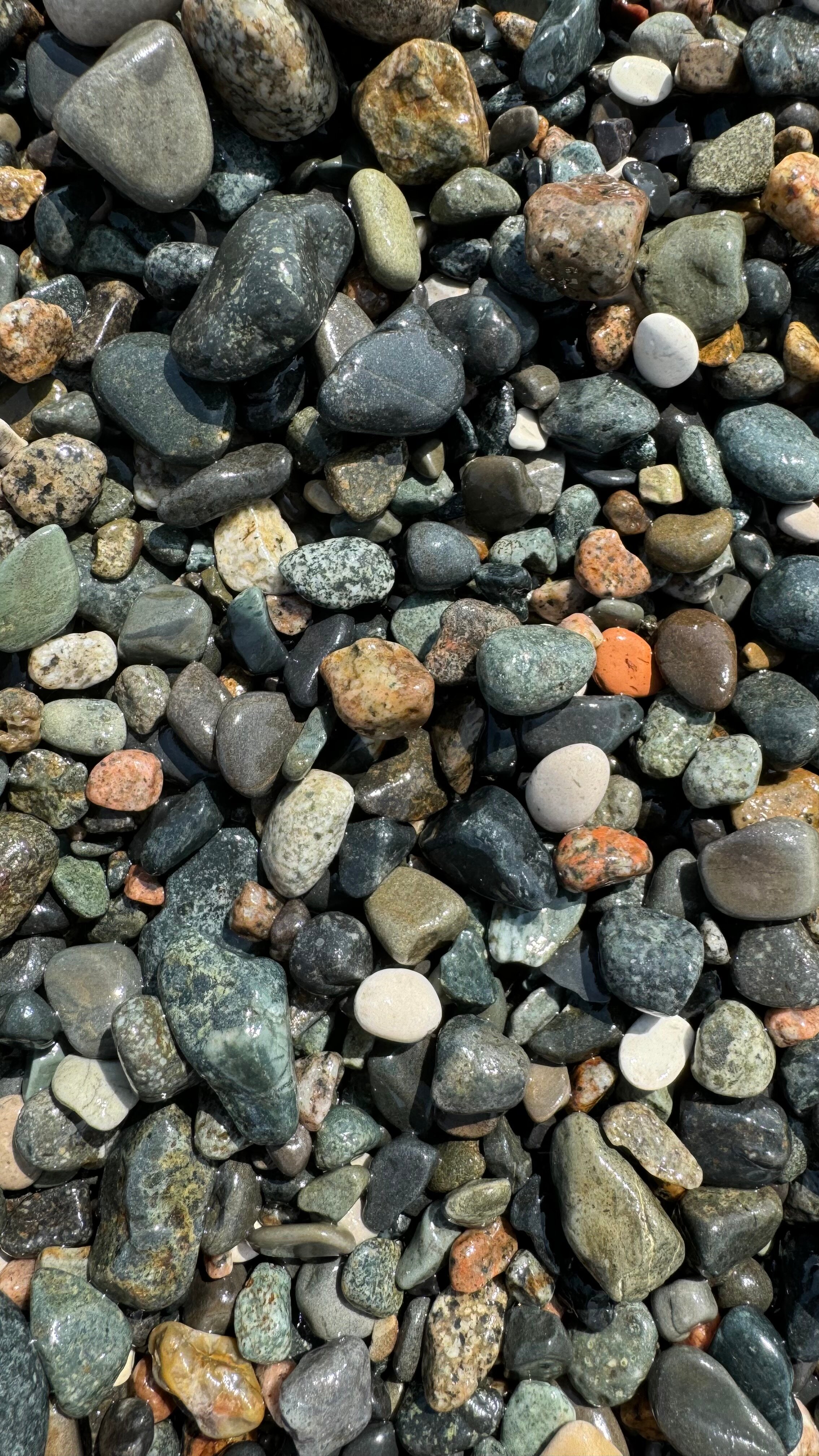 Фото Aqua resort Dacha