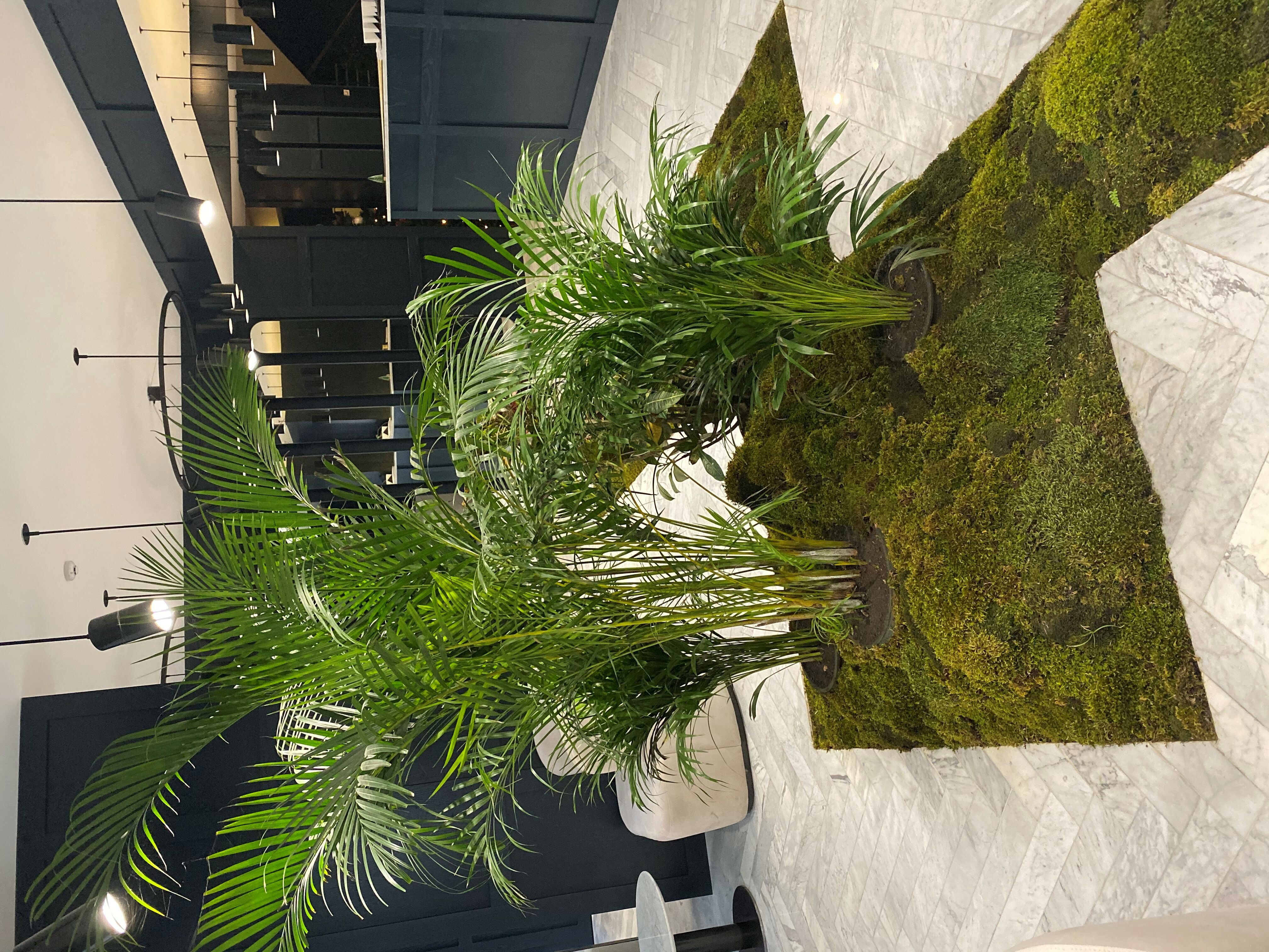 Фото Shota Rustaveli Boutique hotel