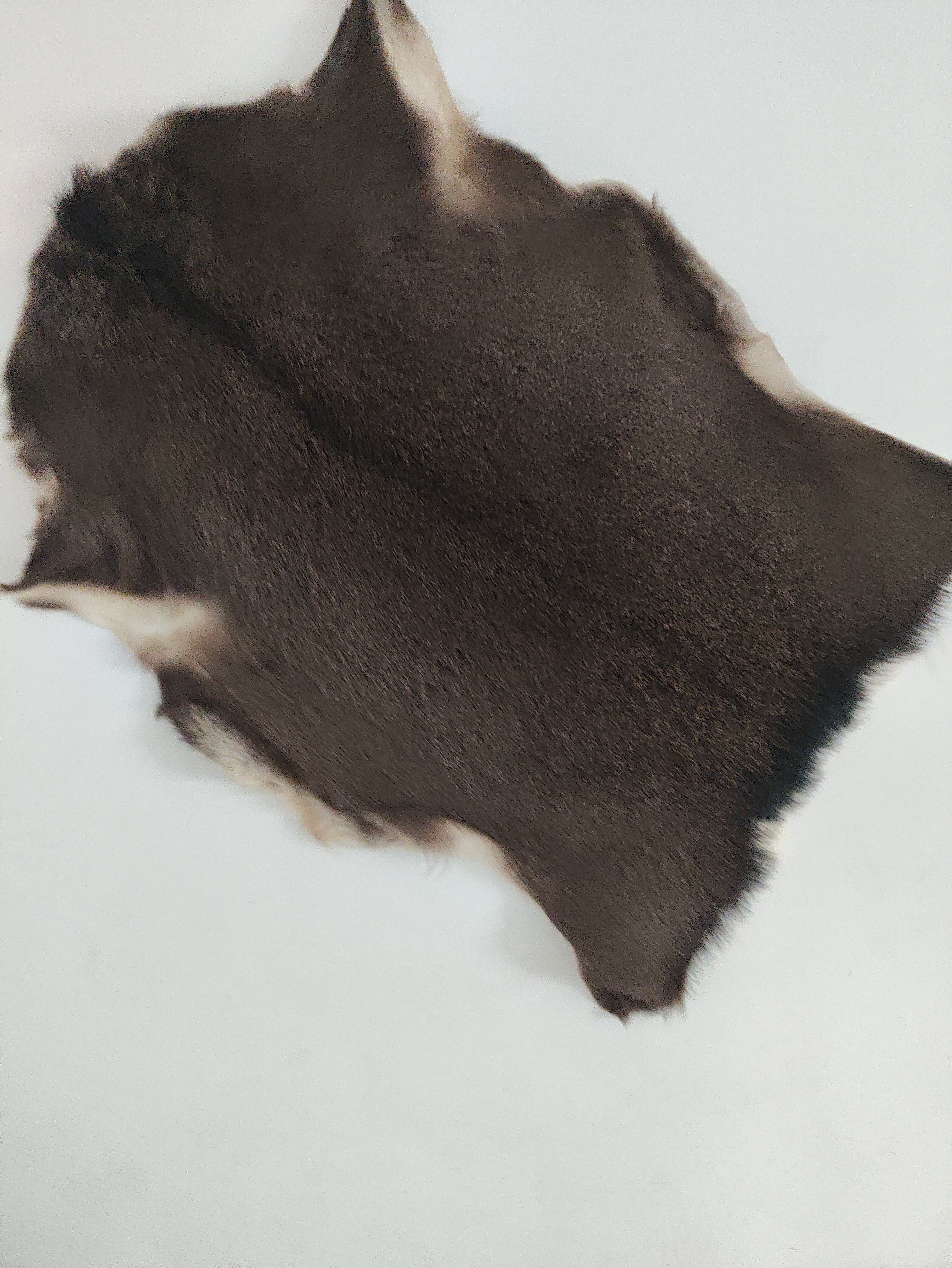 Фото У набережной дамбы