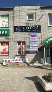 Lotos (Belinskaya ulitsa, 7А), hairdresser