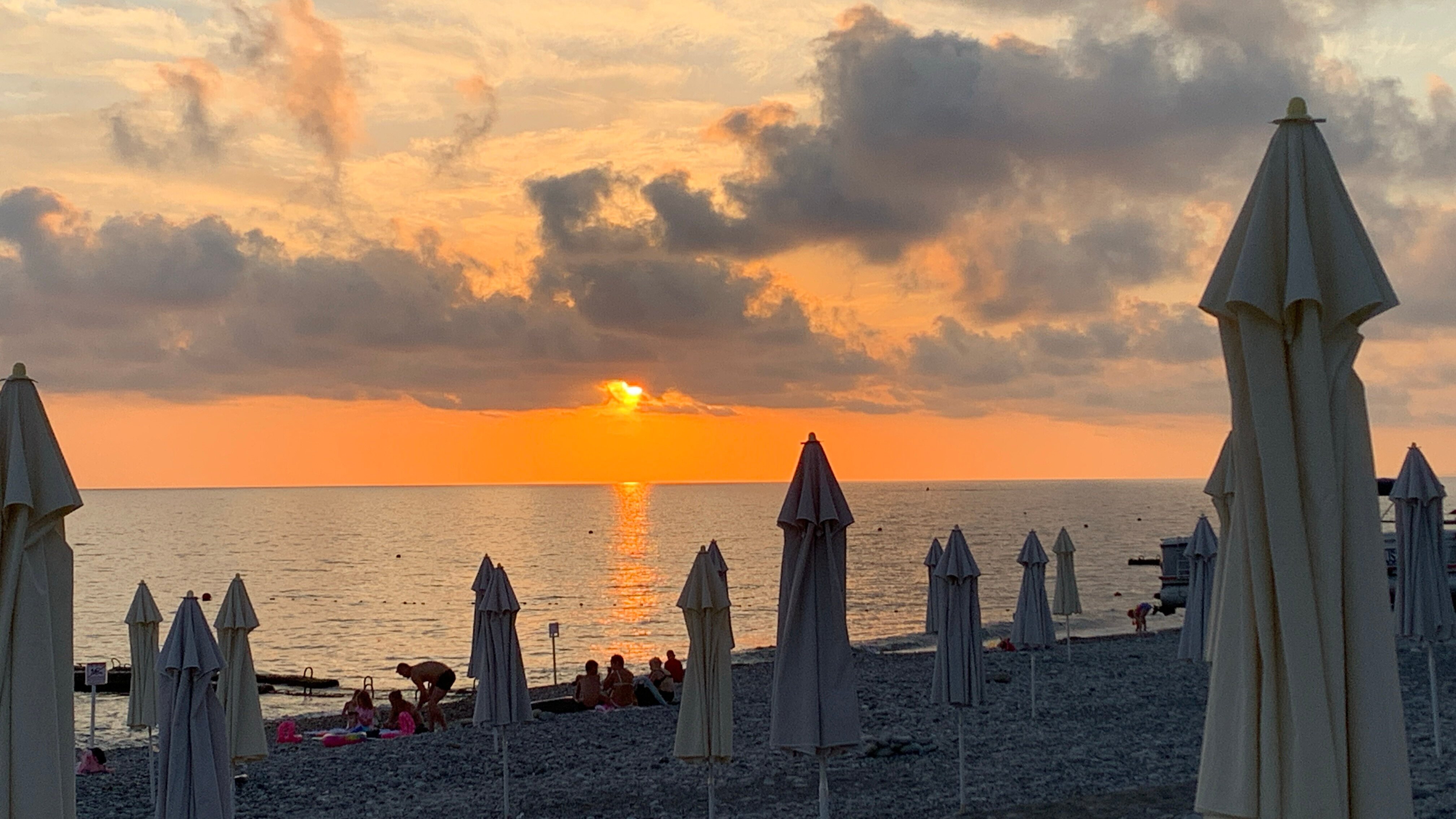 Фото Черный кот