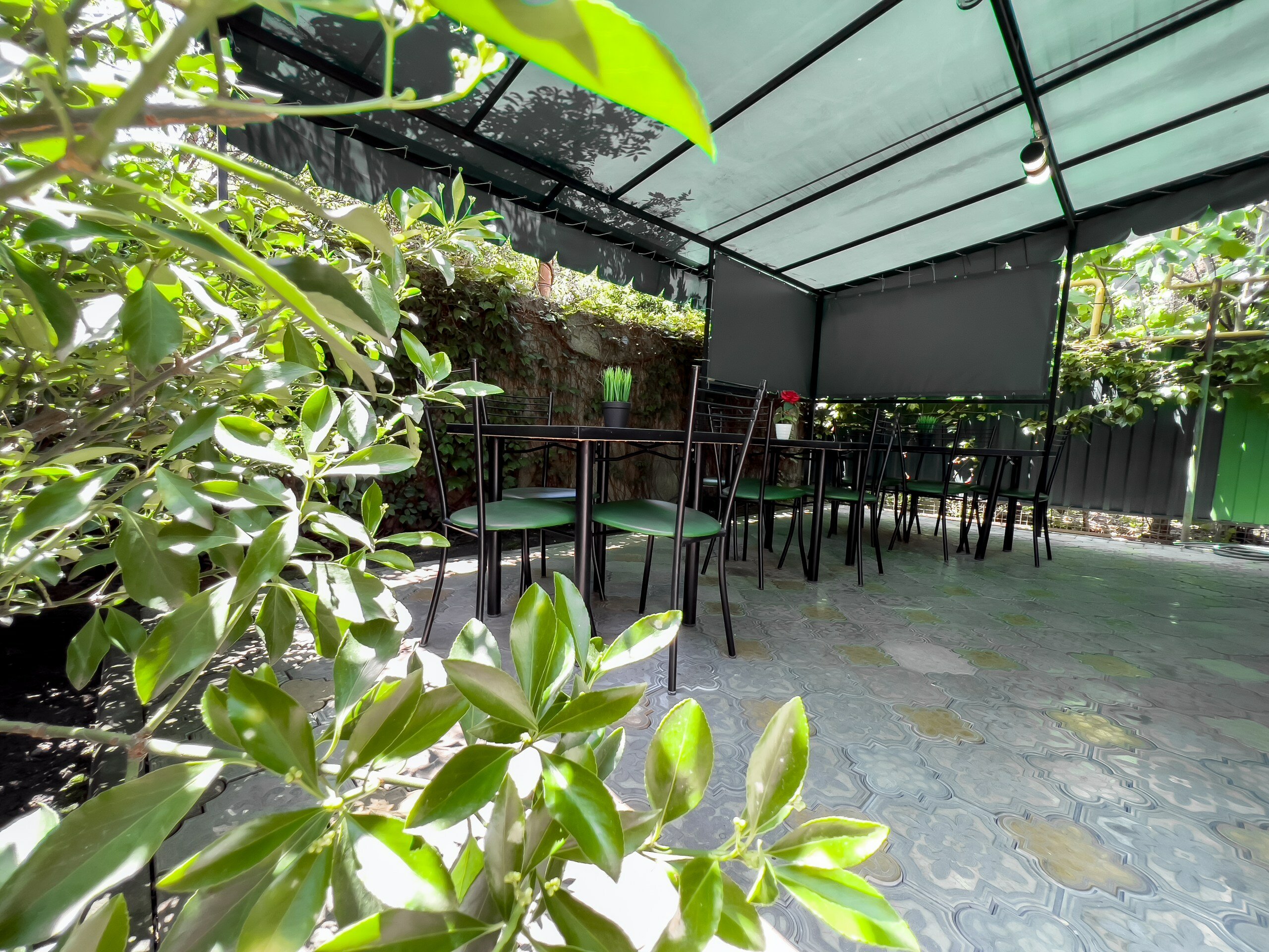 Фото Viva Валентина