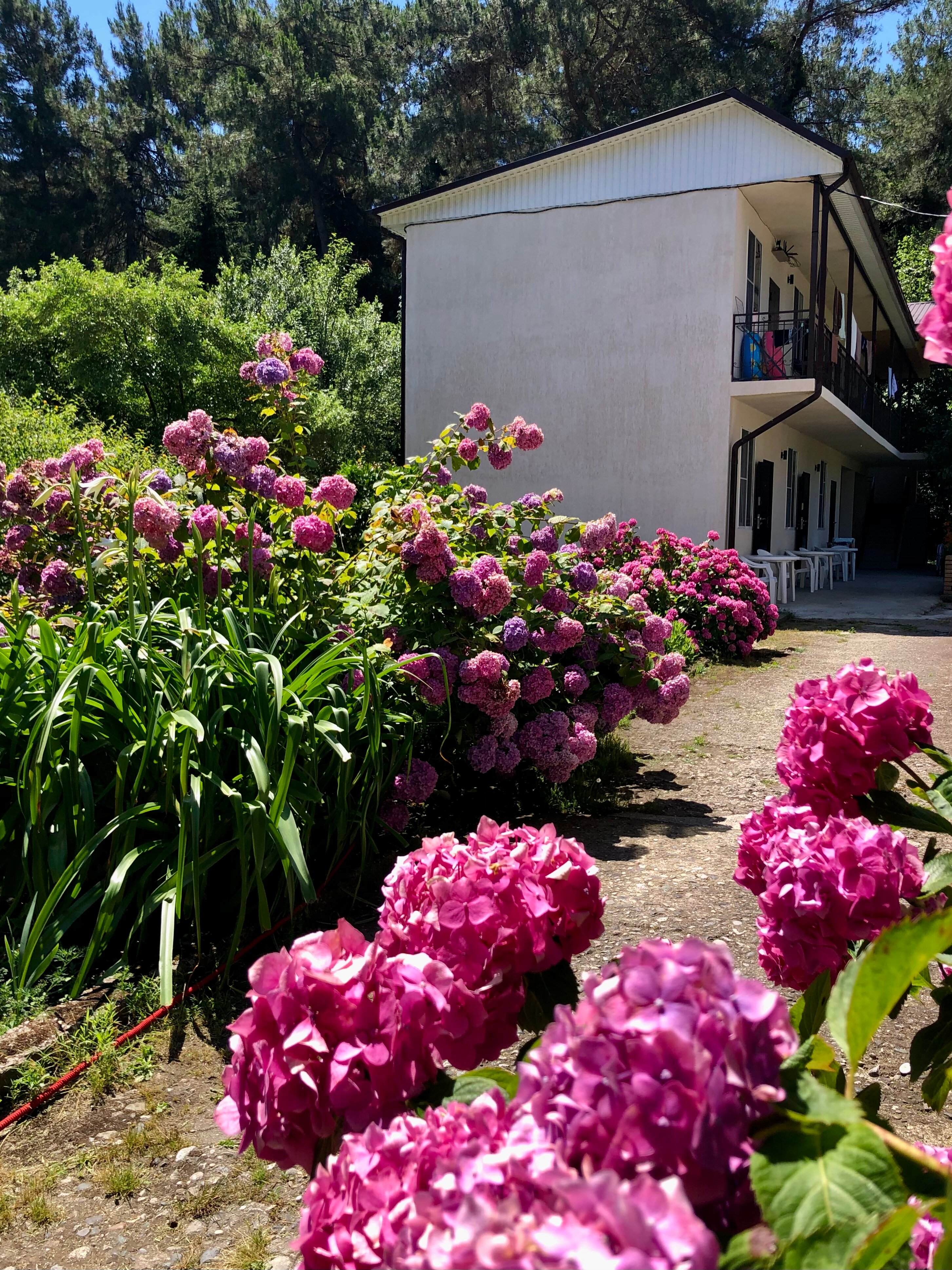 Фото отеля 5