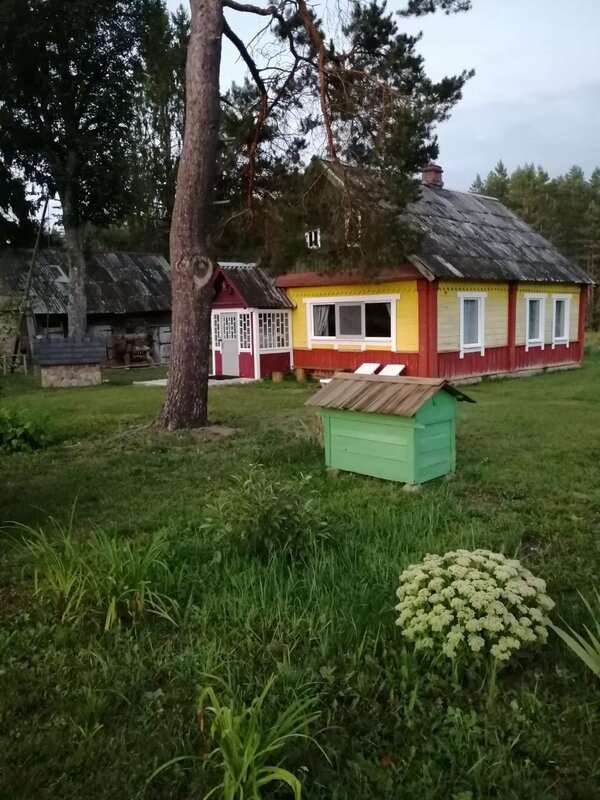 Домик лесника — фото 21