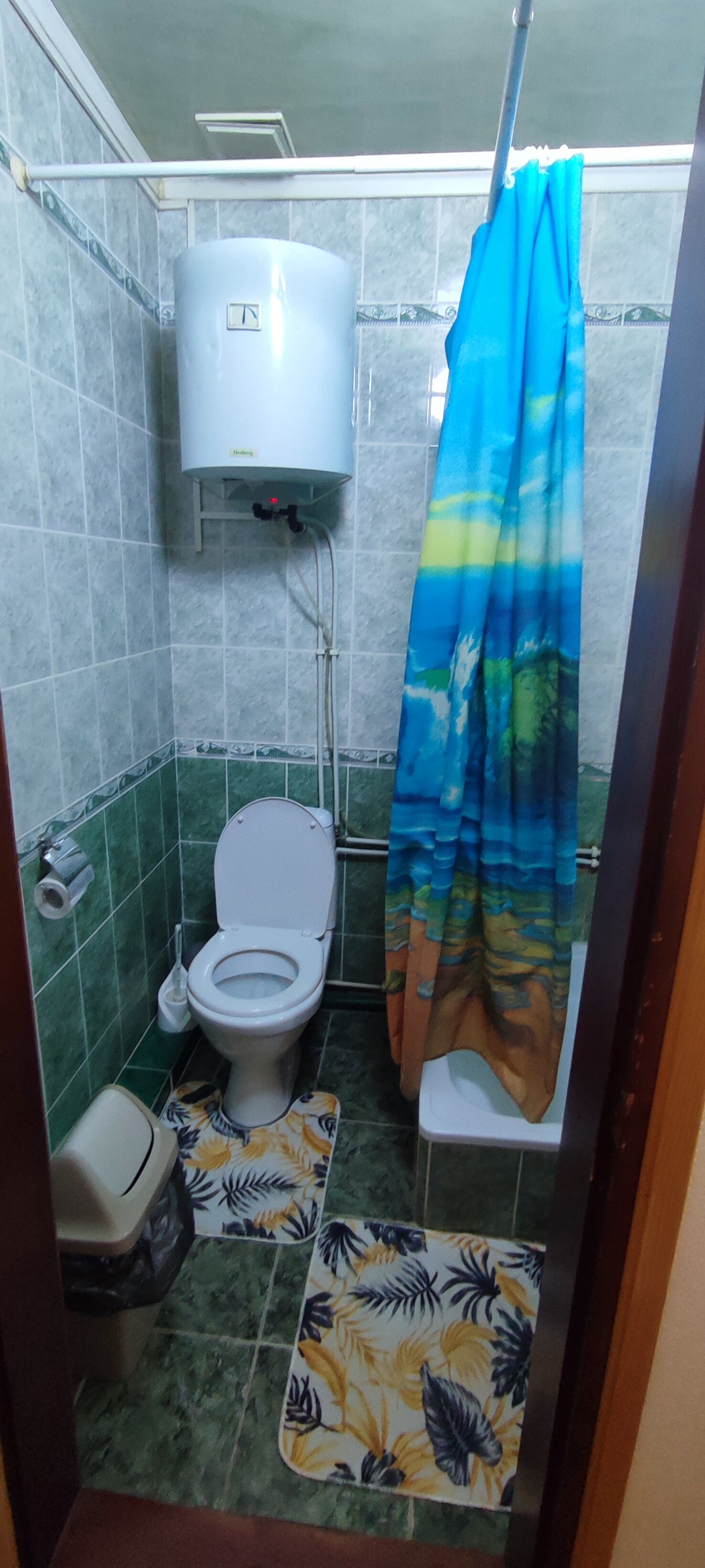 Фото Берёзка